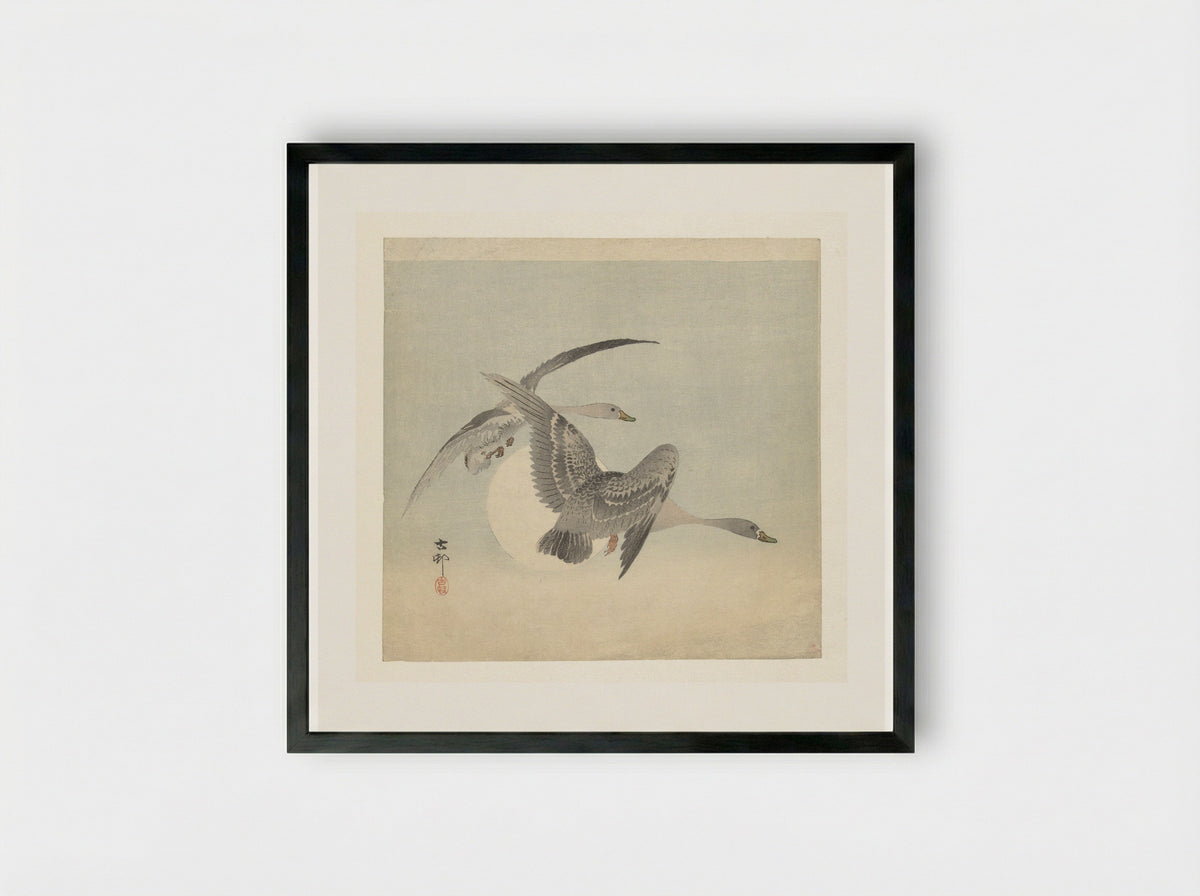 Two Greater White-fronted Geese in Flight - Matsuki Heikichi - Framed Print Black