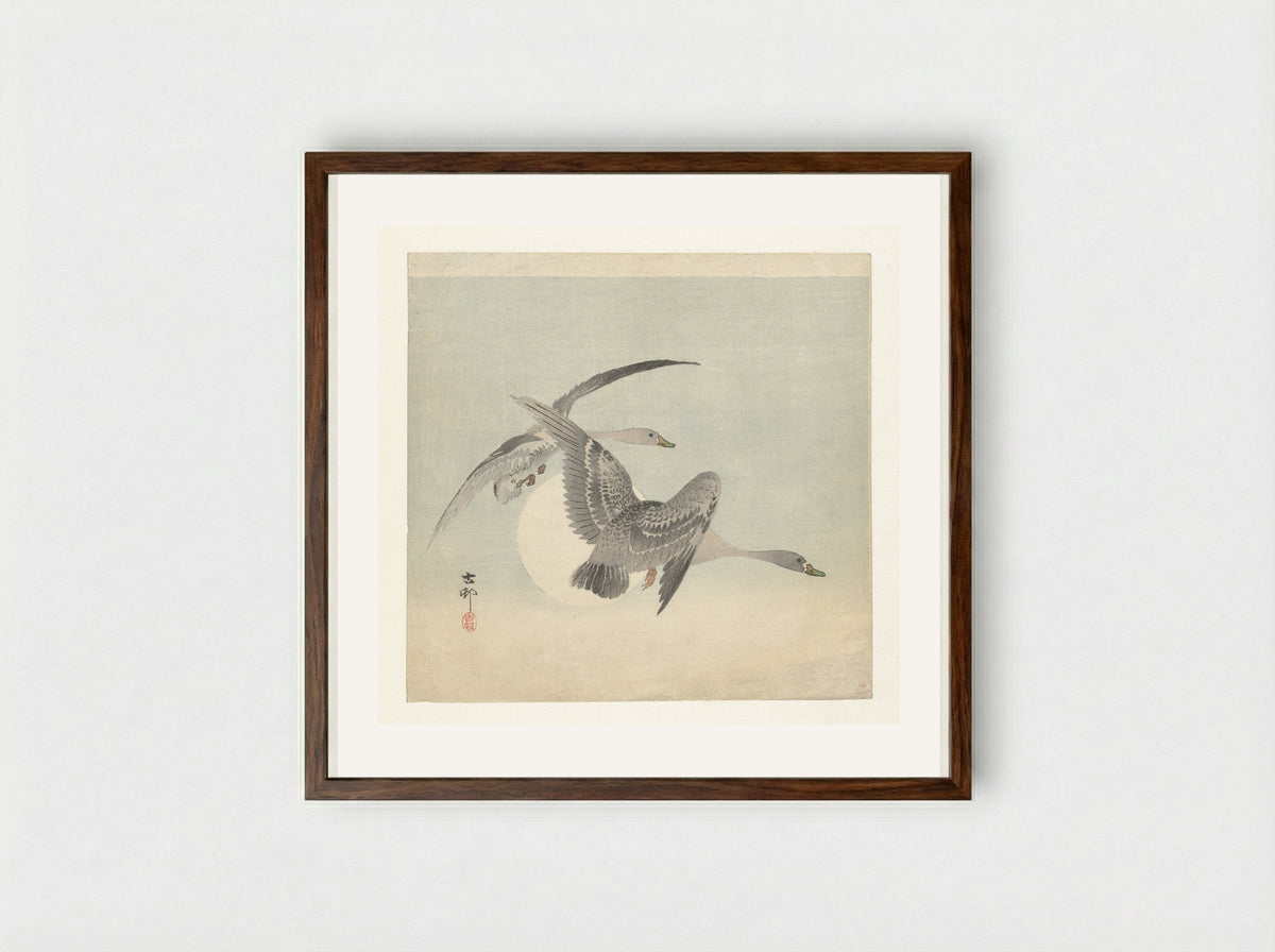 Two Greater White-fronted Geese in Flight - Matsuki Heikichi - Framed Print Dark Wood
