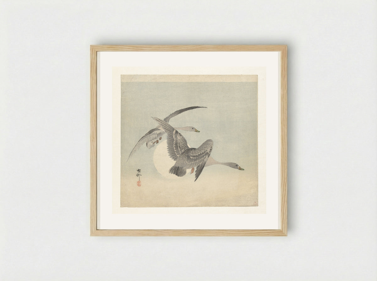 Two Greater White-fronted Geese in Flight - Matsuki Heikichi - Framed Print Wood