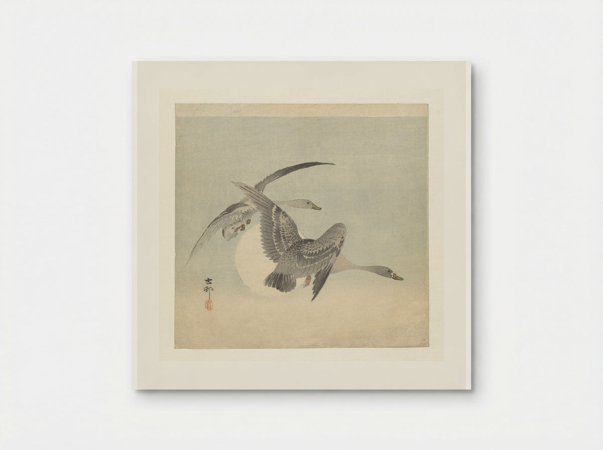 Two Greater White-fronted Geese in Flight - Matsuki Heikichi - Poster