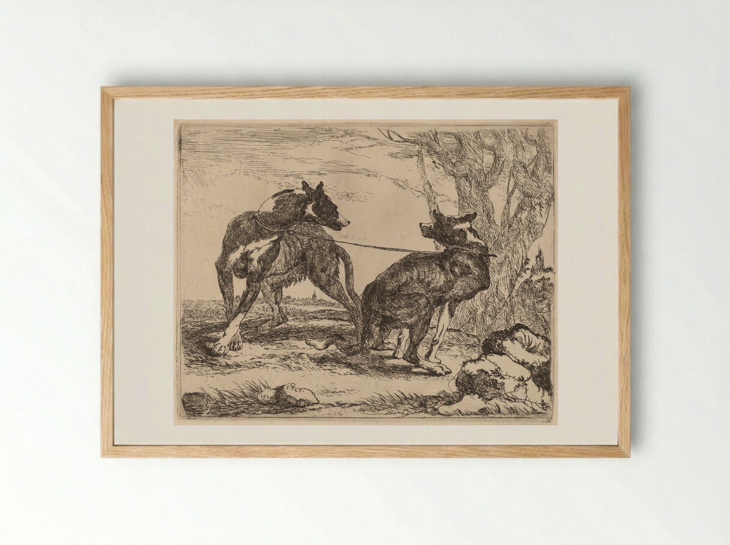 Two Greyhounds - Jan Fyt - Framed Print Wood