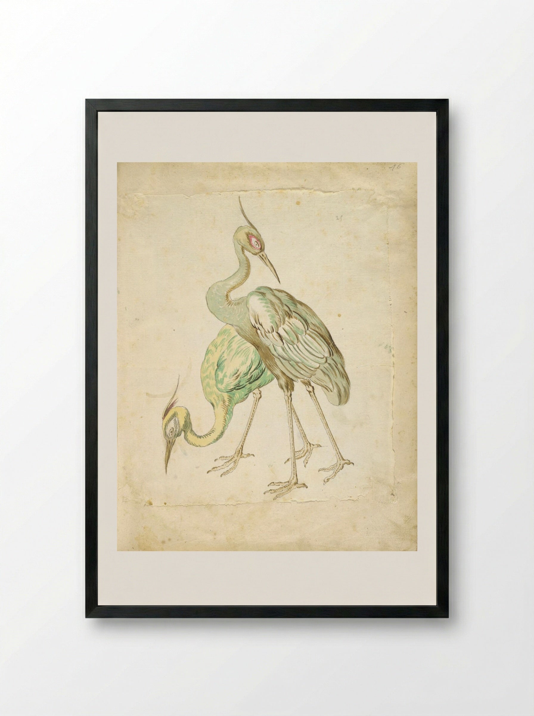 Two Herons - Jean-Baptiste Oudry - Framed Print Black