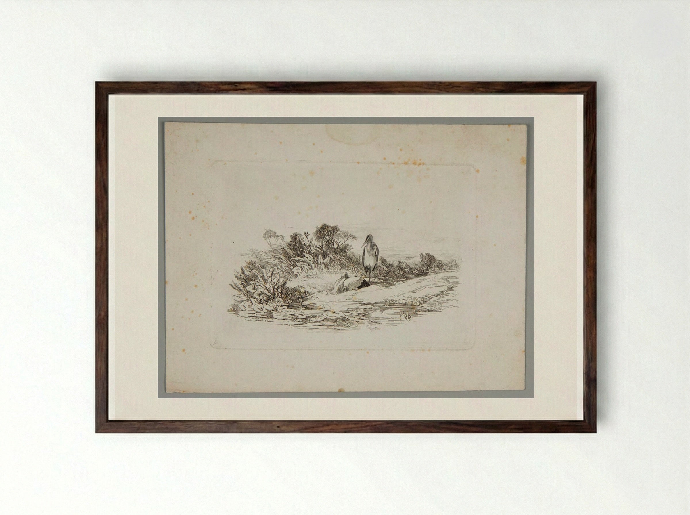 Two Herons - Karl Bodmer - Framed Print Dark Wood