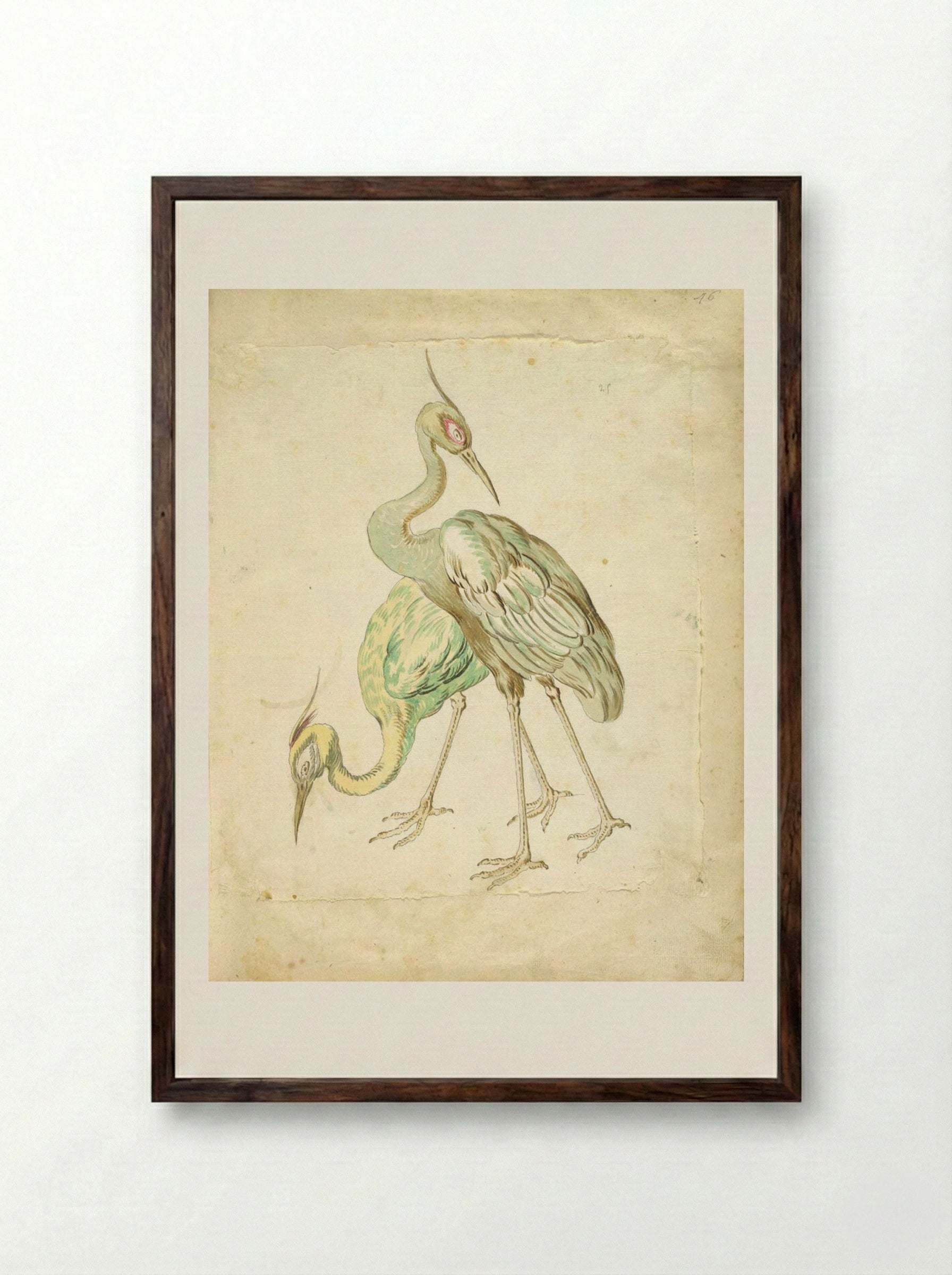 Two Herons - Jean-Baptiste Oudry - Framed Print Dark Wood