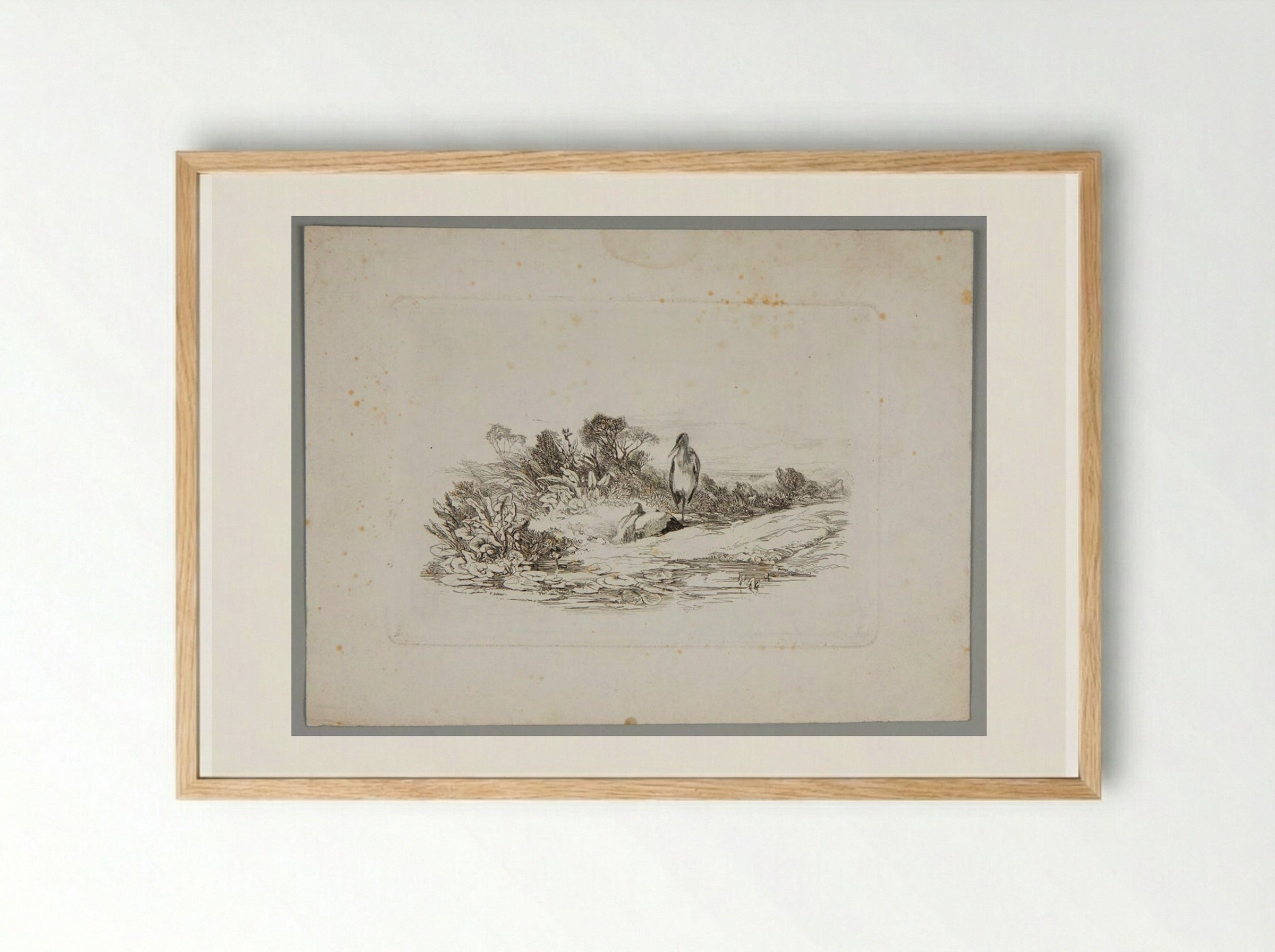 Two Herons - Karl Bodmer - Framed Print Wood