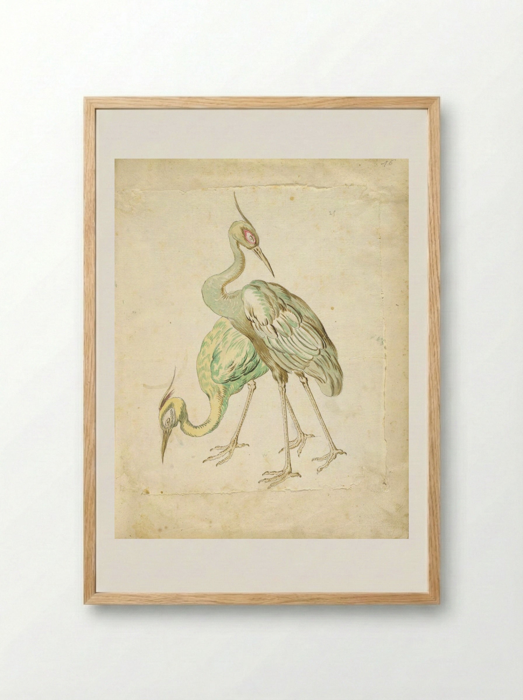 Two Herons - Jean-Baptiste Oudry - Framed Print Wood