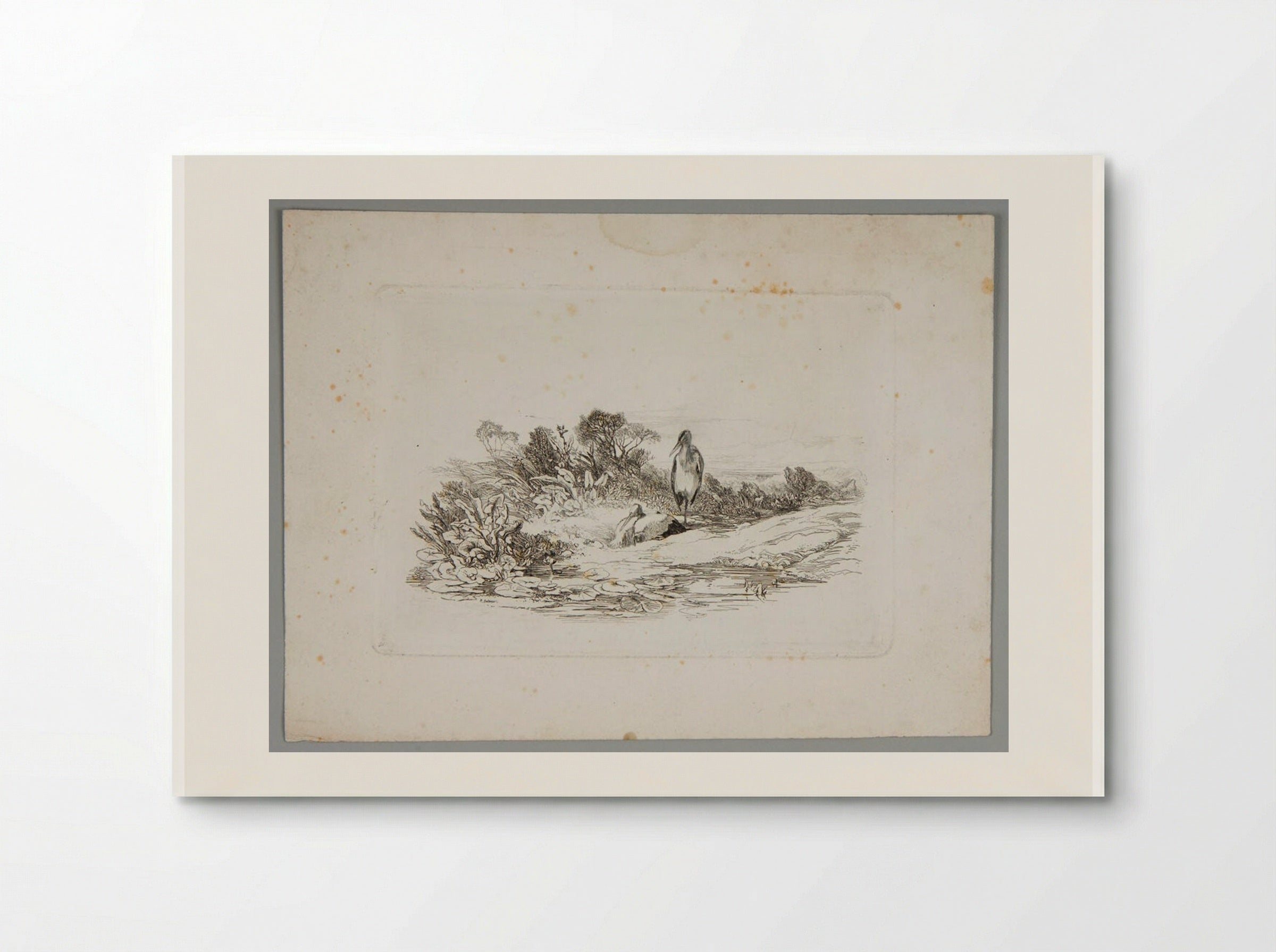 Two Herons - Karl Bodmer - Poster