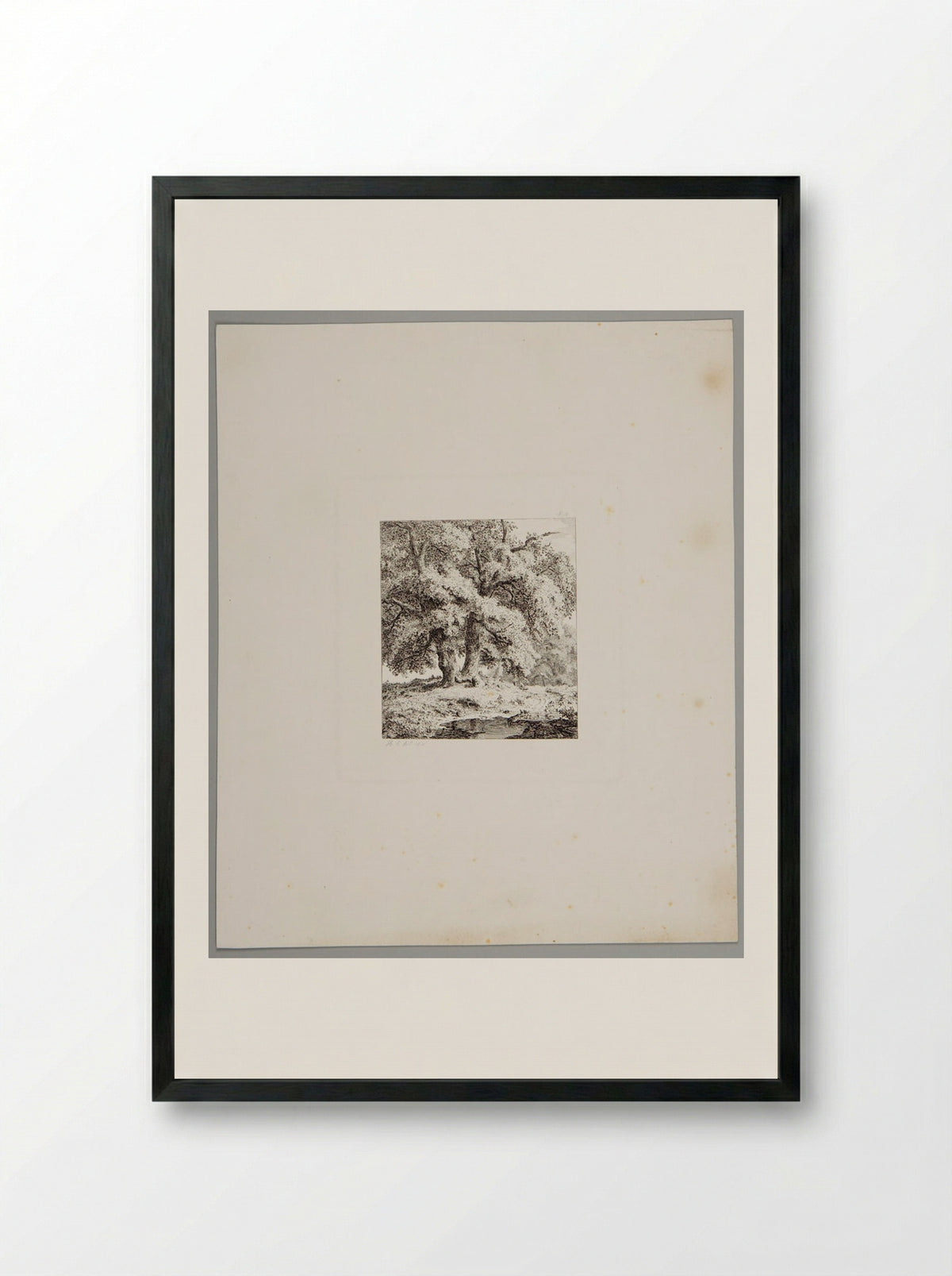 Two Oaks - Johann Hermann Carmiencke - Framed Print Black