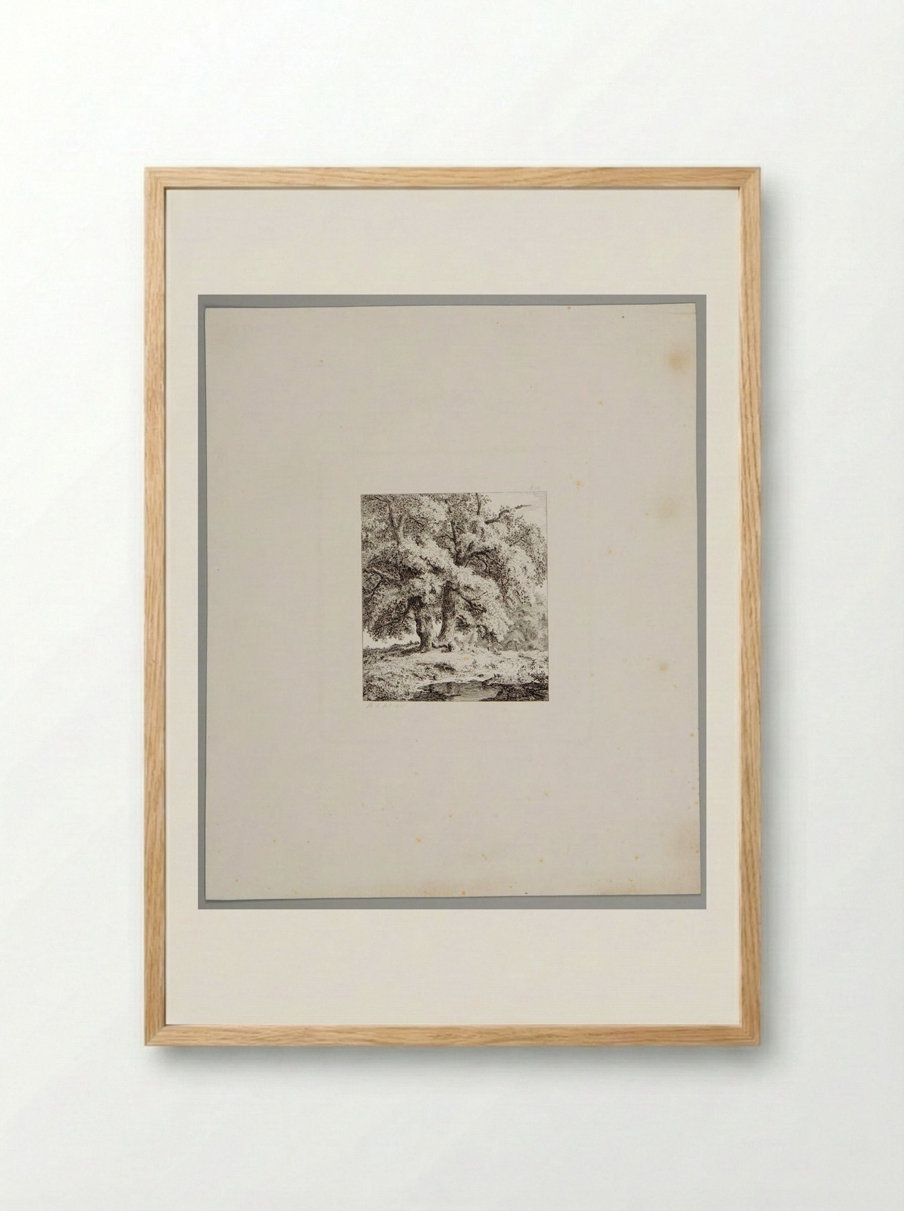 Two Oaks - Johann Hermann Carmiencke - Framed Print Wood