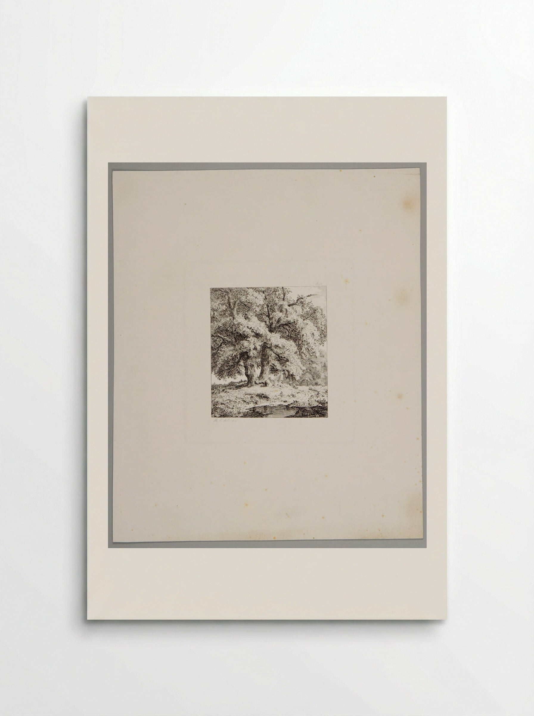 Two Oaks - Johann Hermann Carmiencke - Poster