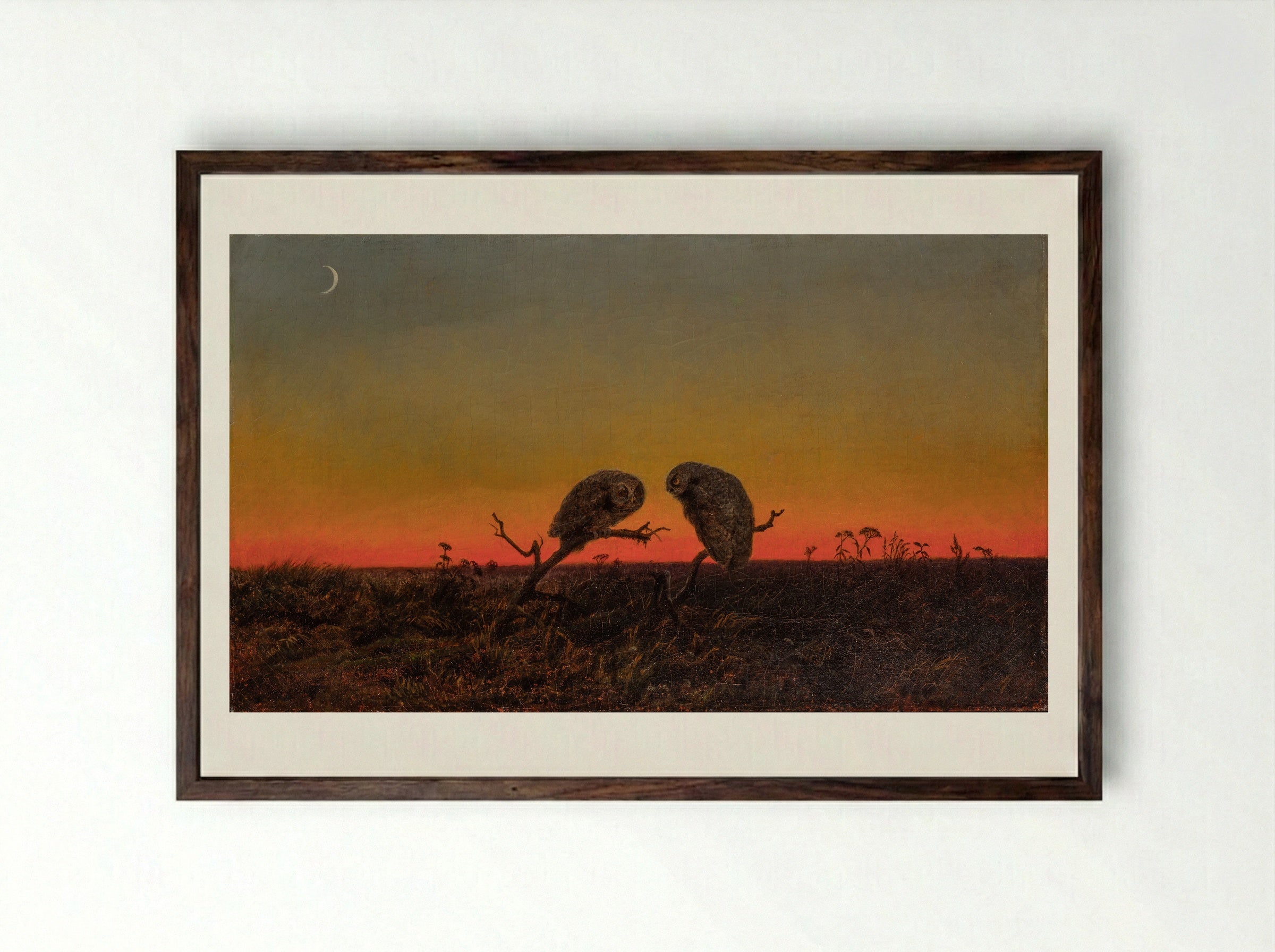 Two Owls at Sunset - Fine Art Print - Framed Print Dark Wood