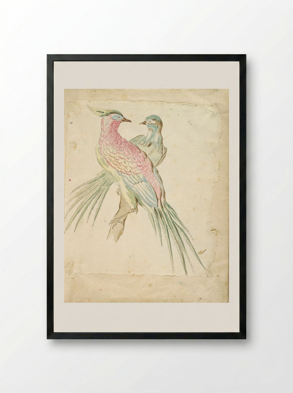 Two Pheasants Perched on a Branch - Jean-Baptiste Oudry - Framed Print Black