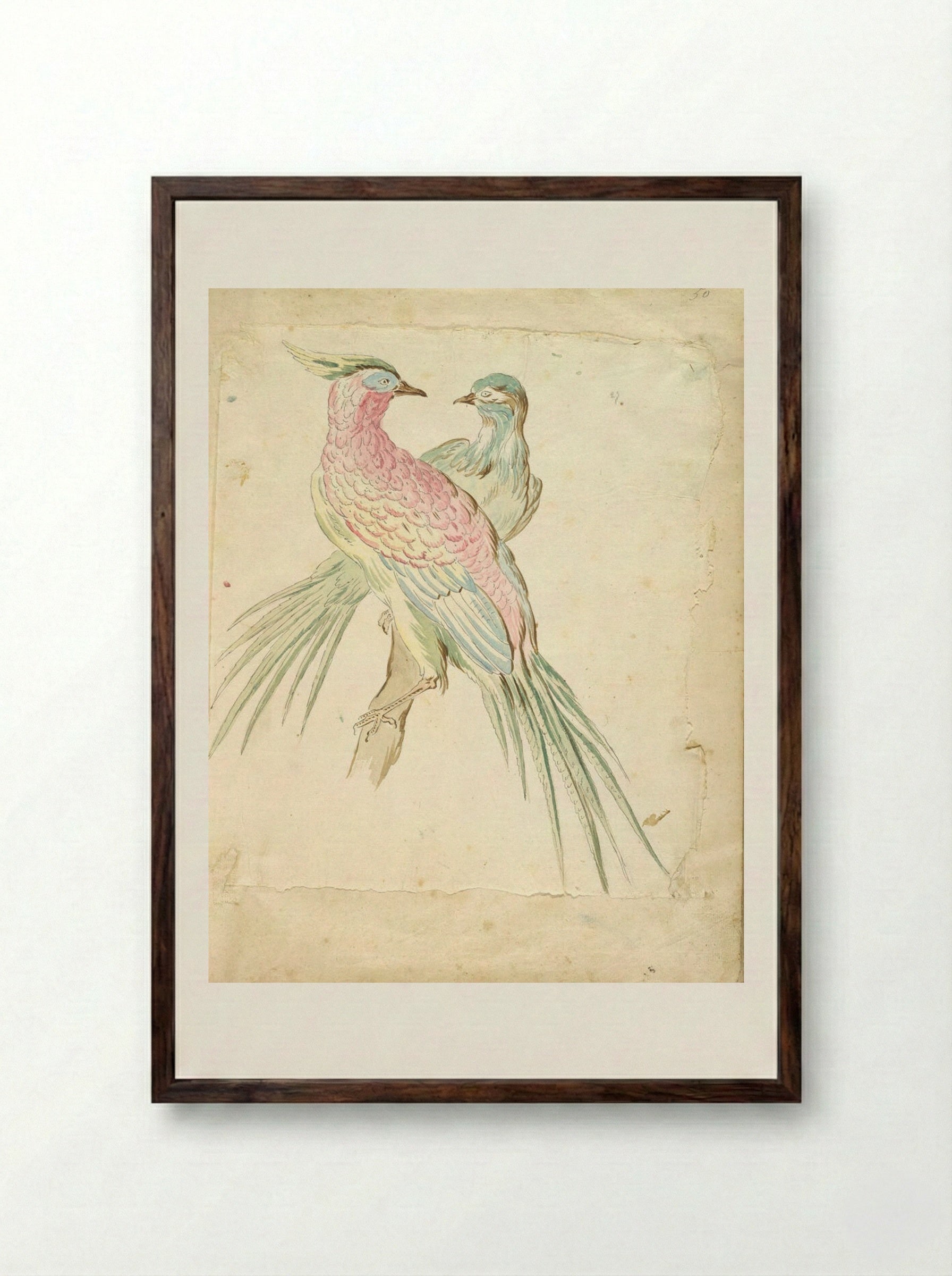 Two Pheasants Perched on a Branch - Jean-Baptiste Oudry - Framed Print Dark Wood