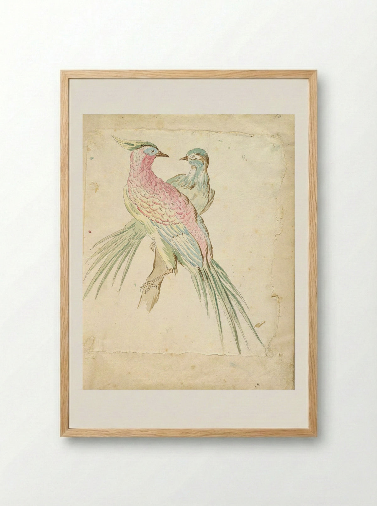 Two Pheasants Perched on a Branch - Jean-Baptiste Oudry - Framed Print Wood