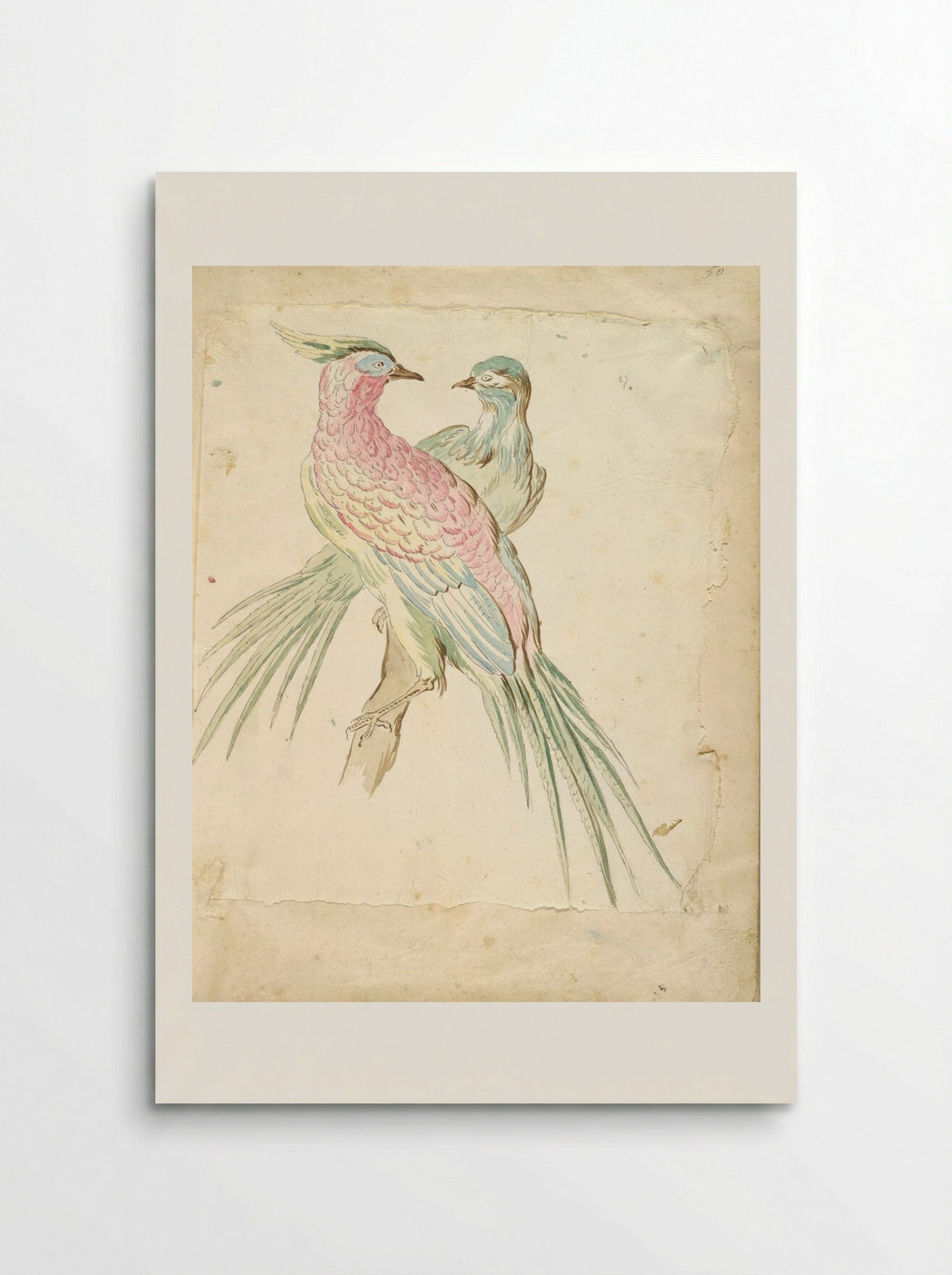 Two Pheasants Perched on a Branch - Jean-Baptiste Oudry - Poster