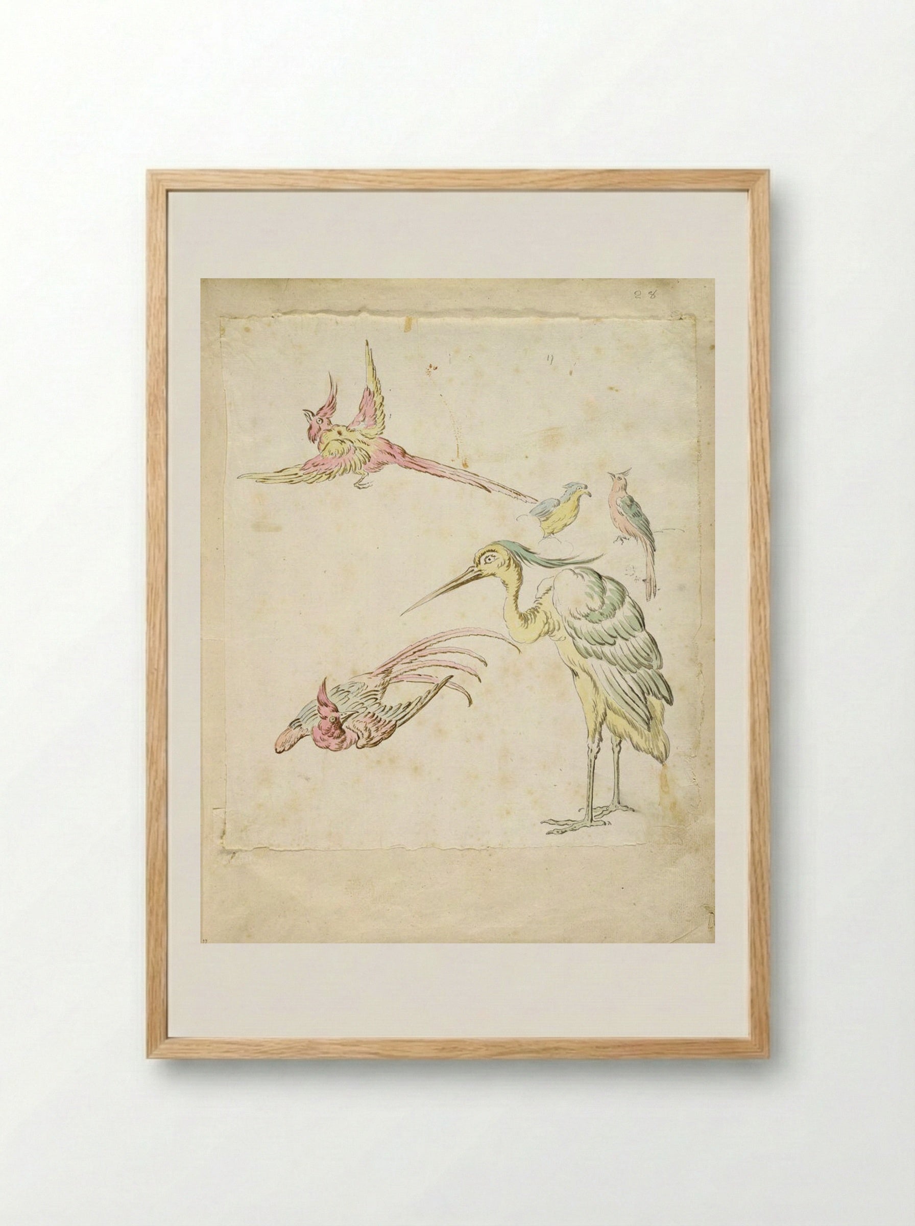 Two Pheasants in Flight, a Standing Heron and Two Small Birds - Jean-Baptiste Oudry - Framed Print Wood