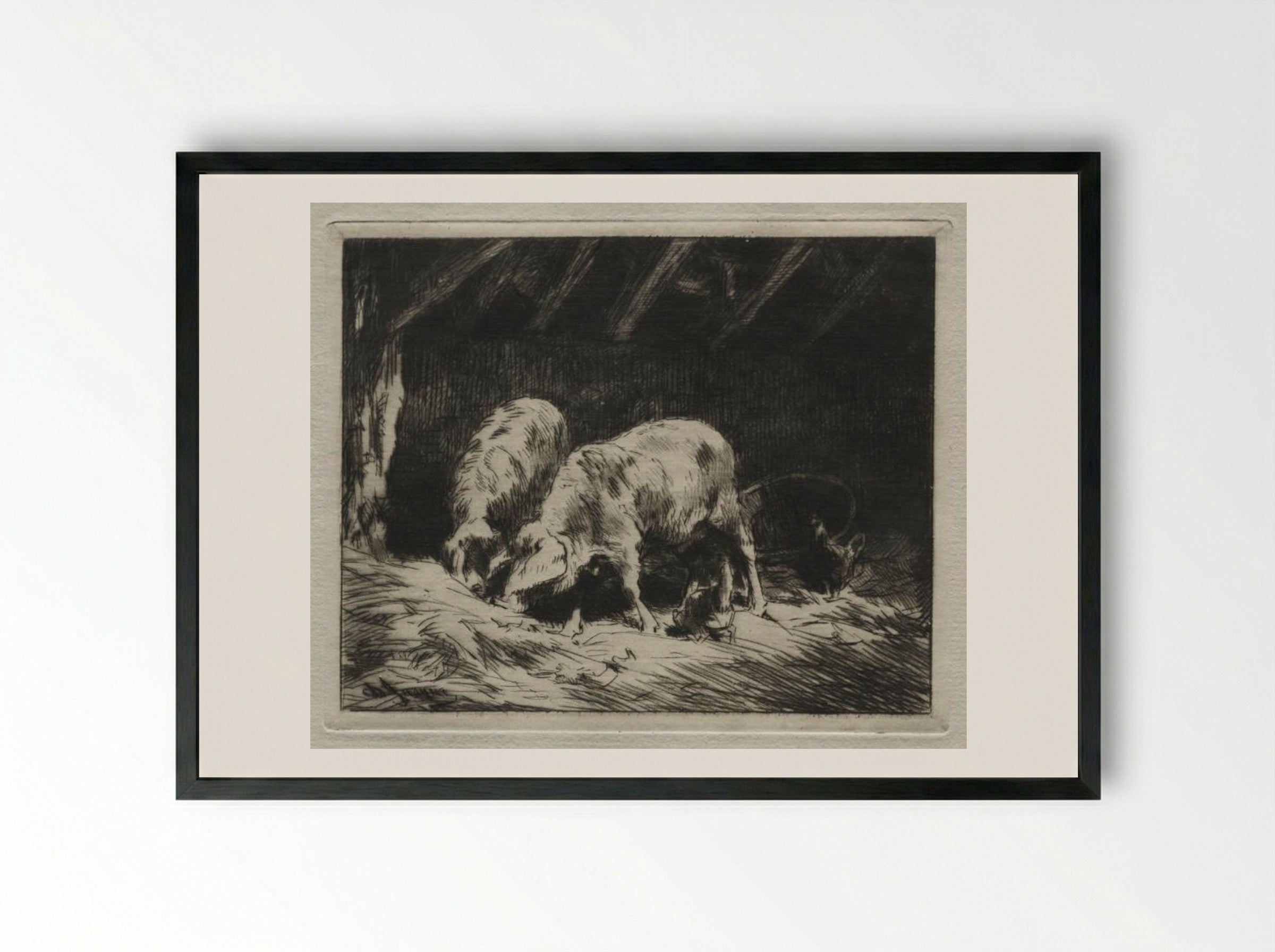 Two Pigs - Charles-Émile Jacque - Framed Print Black