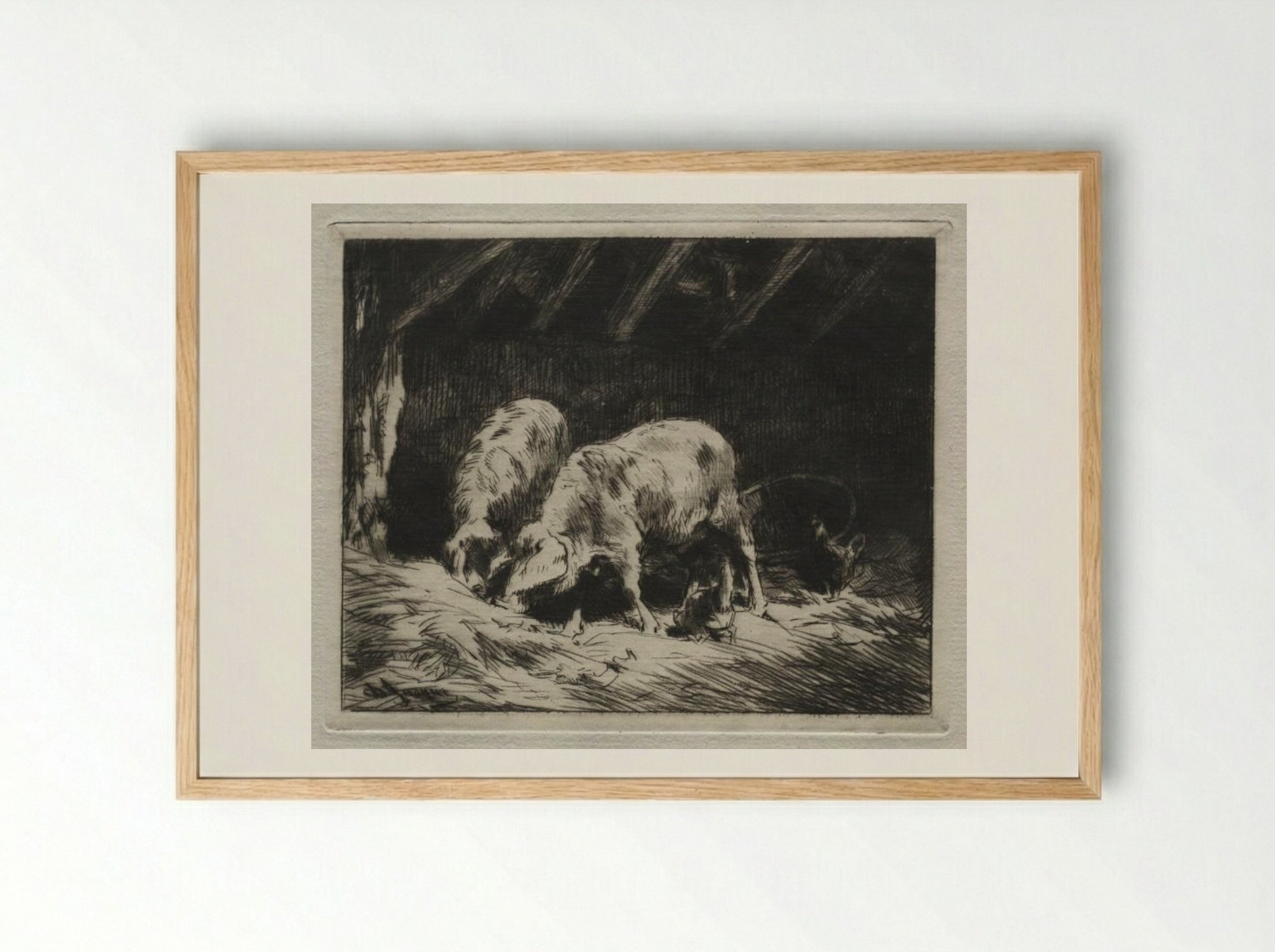 Two Pigs - Charles-Émile Jacque - Framed Print Wood