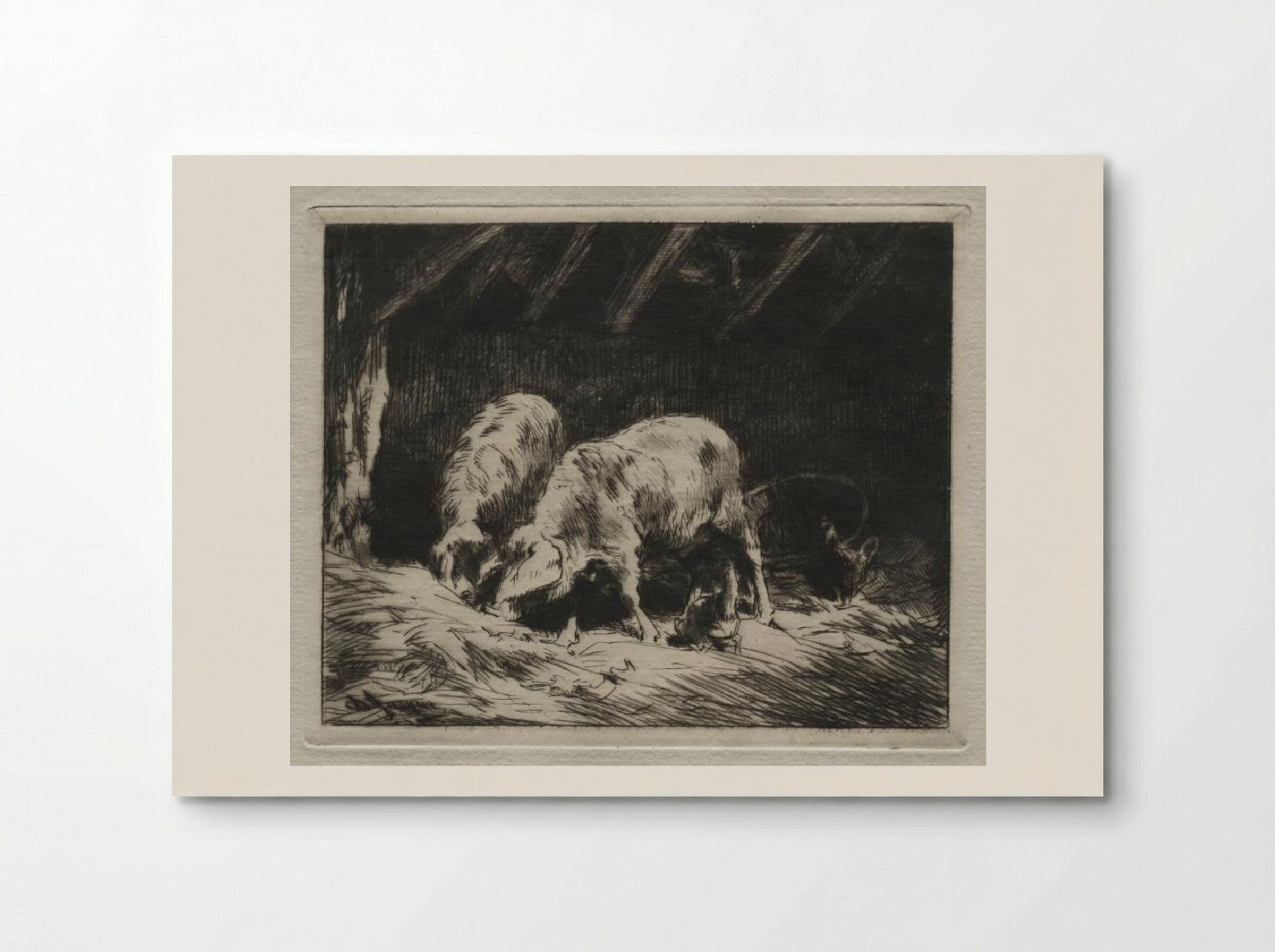 Two Pigs - Charles-Émile Jacque - Poster