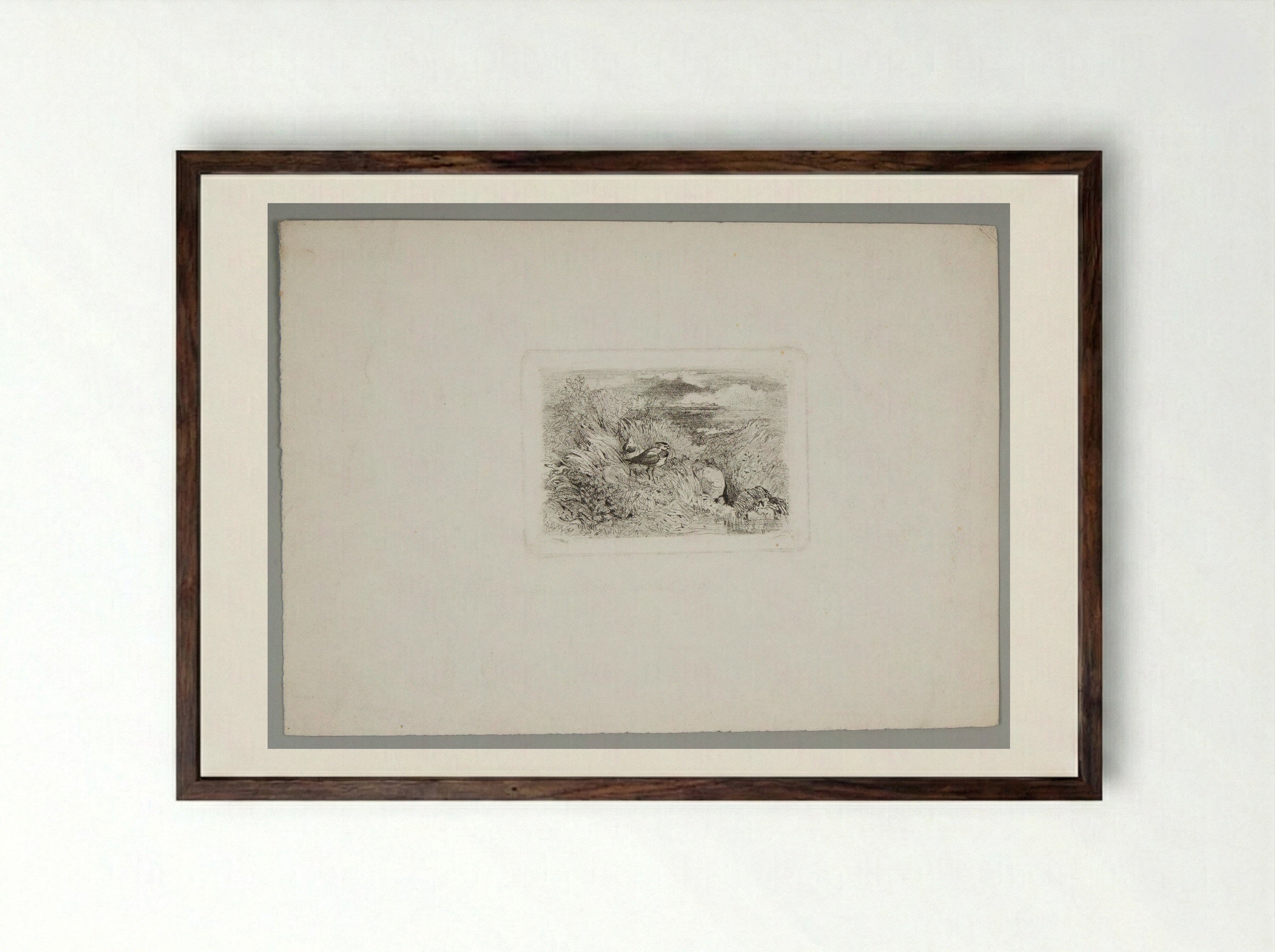 Two Plovers (or Lapwings, or Peewits) - Karl Bodmer - Framed Print Dark Wood