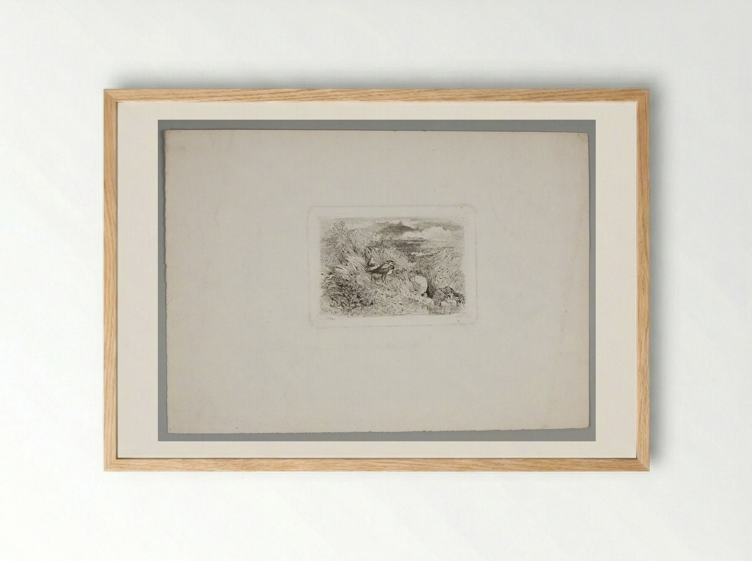 Two Plovers (or Lapwings, or Peewits) - Karl Bodmer - Framed Print Wood