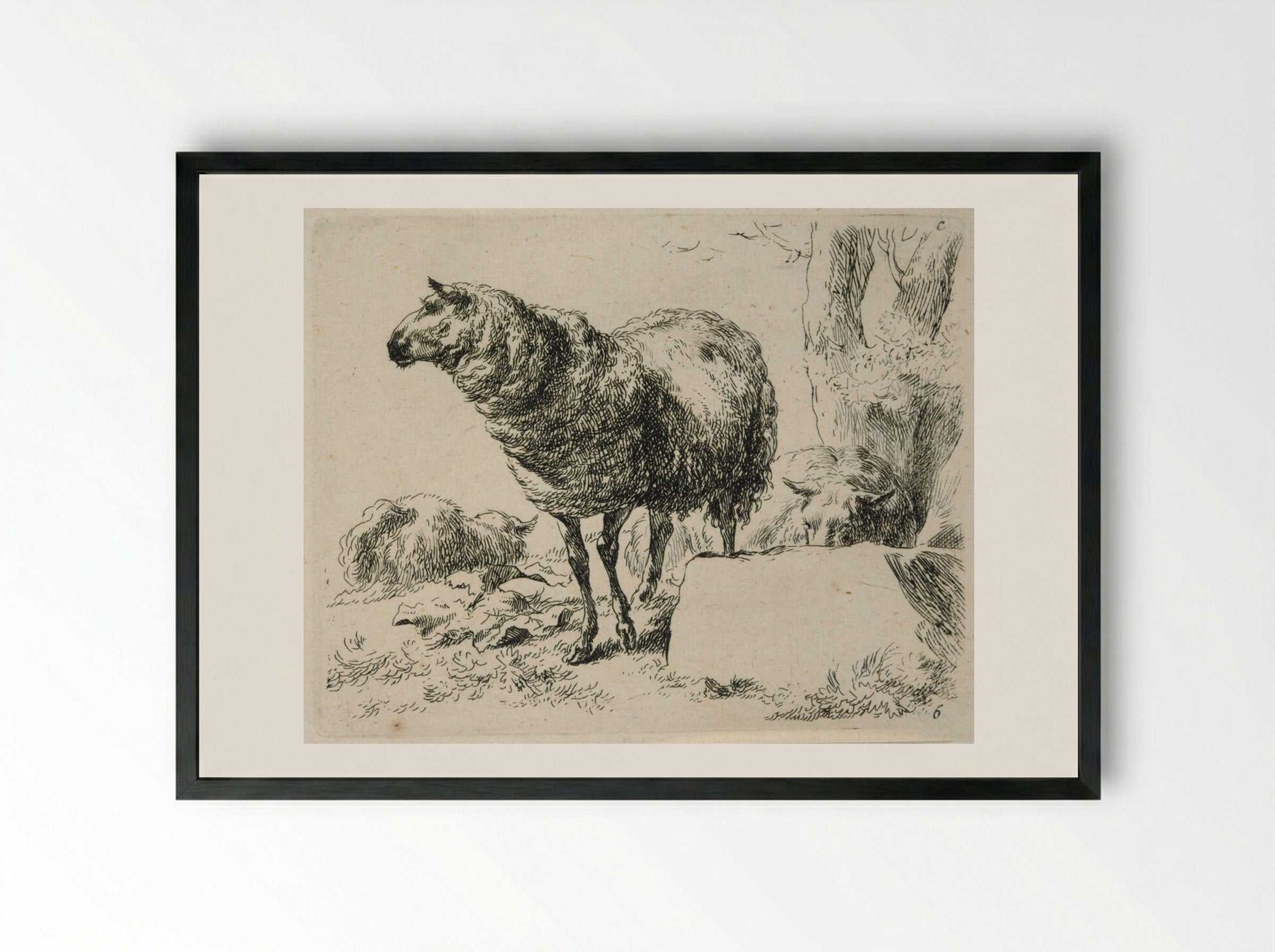 Two Sheep: One Standing, One Lying Behind a Rock - Nicolaes Berchem the Elder - Framed Print Black
