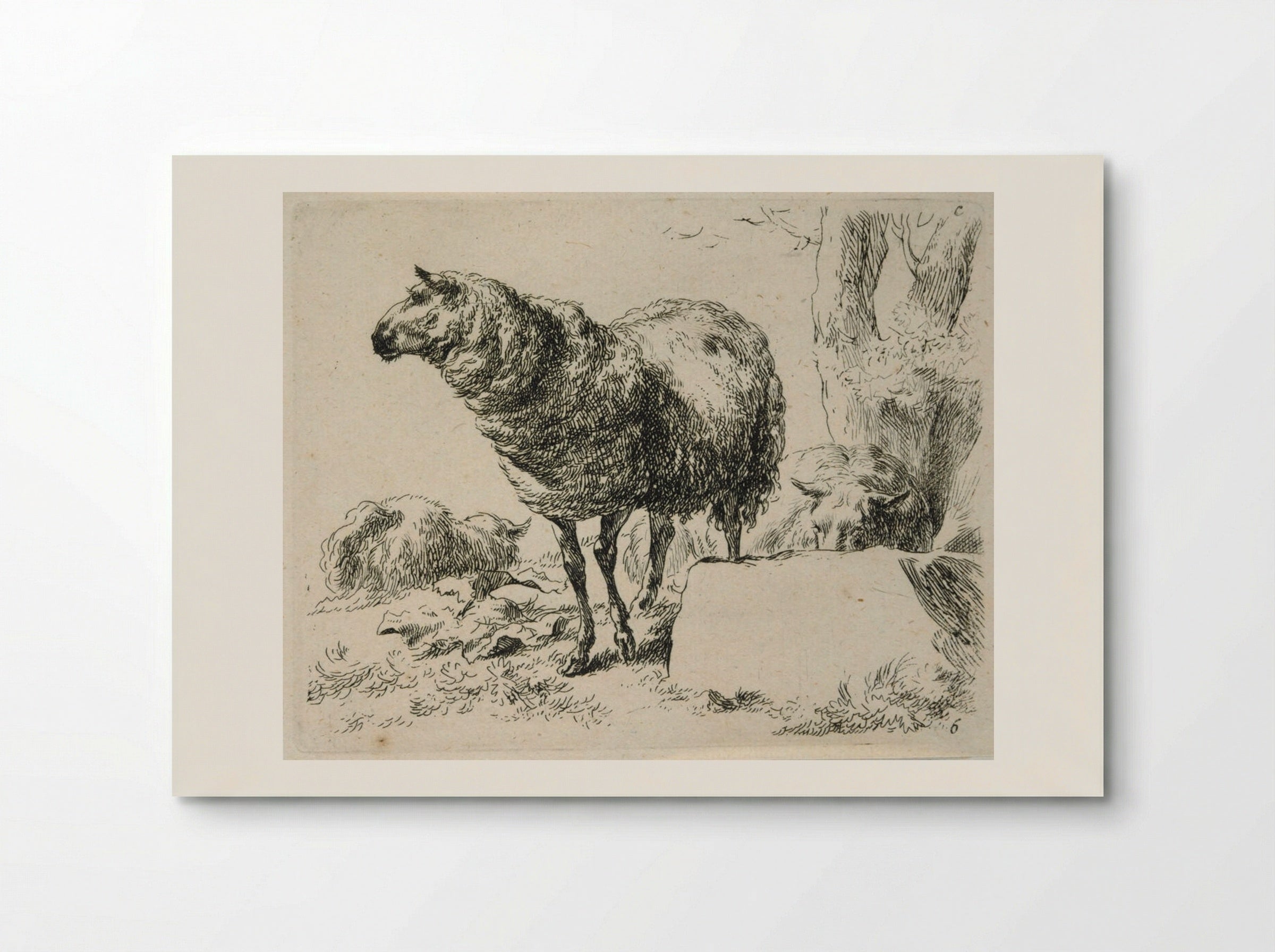 Two Sheep: One Standing, One Lying Behind a Rock - Nicolaes Berchem the Elder - Poster