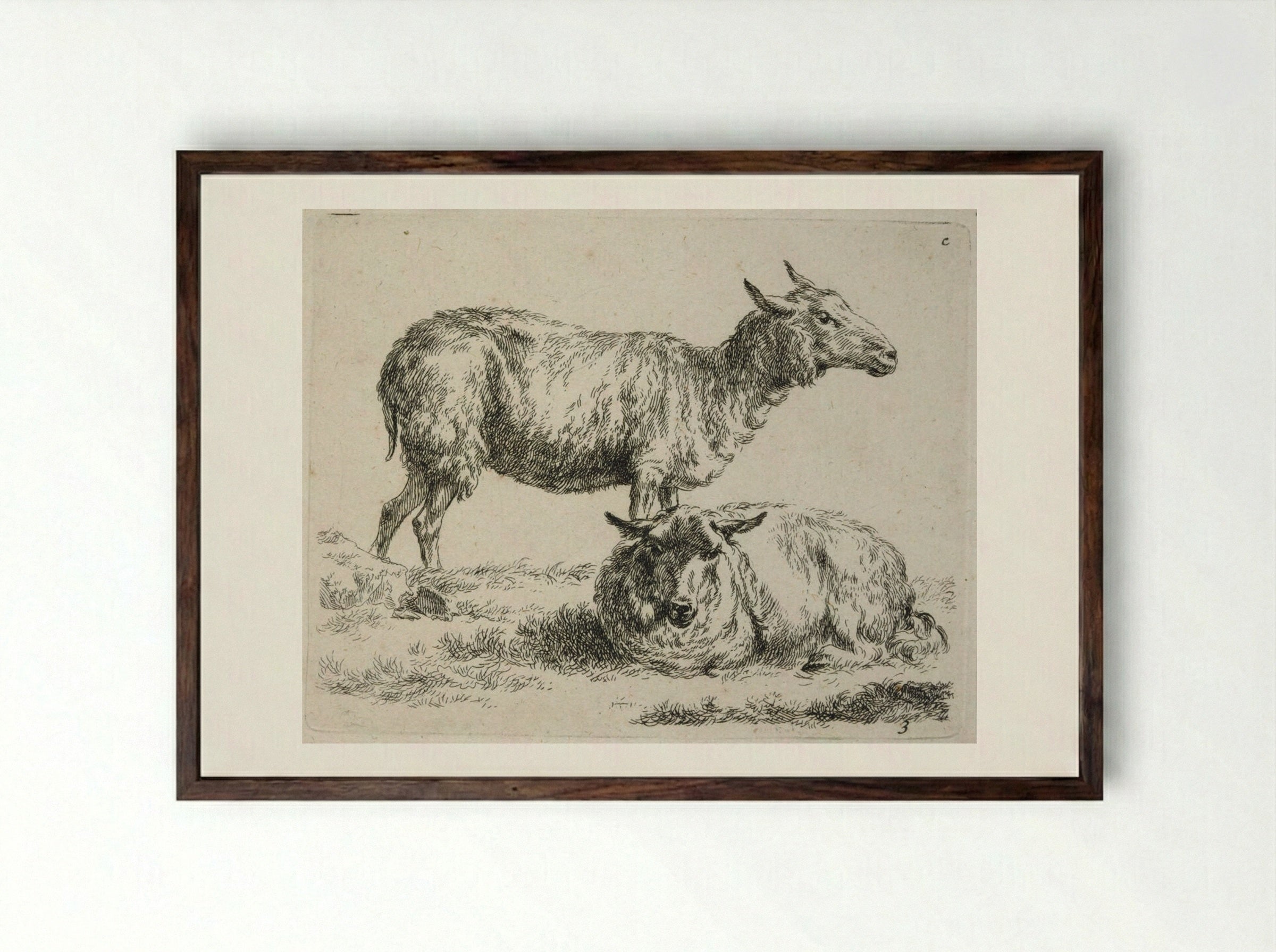 Two Sheep: One Standing, One Lying Down - Nicolaes Berchem - Framed Print Dark Wood