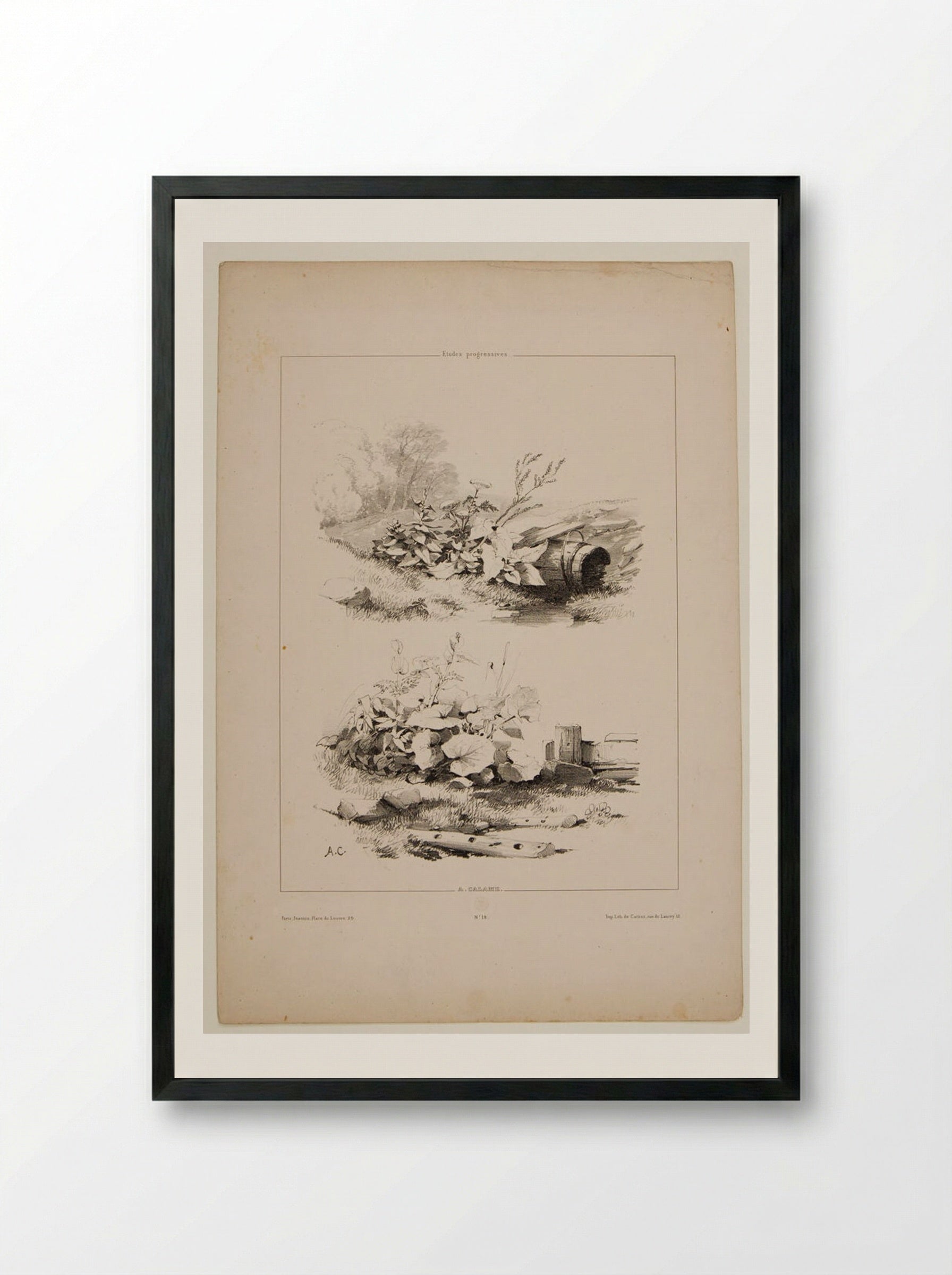 Two Sketches of Wildflowers and Fenceposts - Alexandre Calame - Framed Print Black