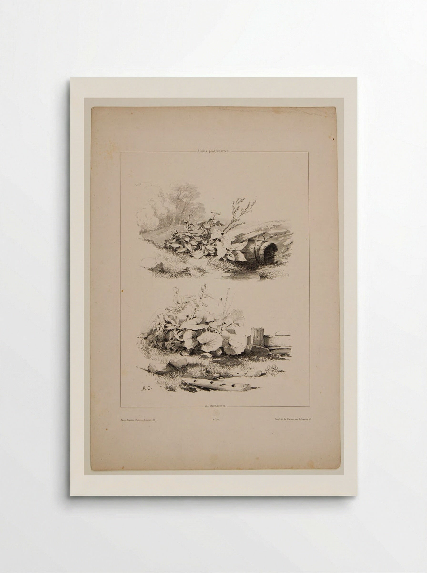 Two Sketches of Wildflowers and Fenceposts - Alexandre Calame - Poster