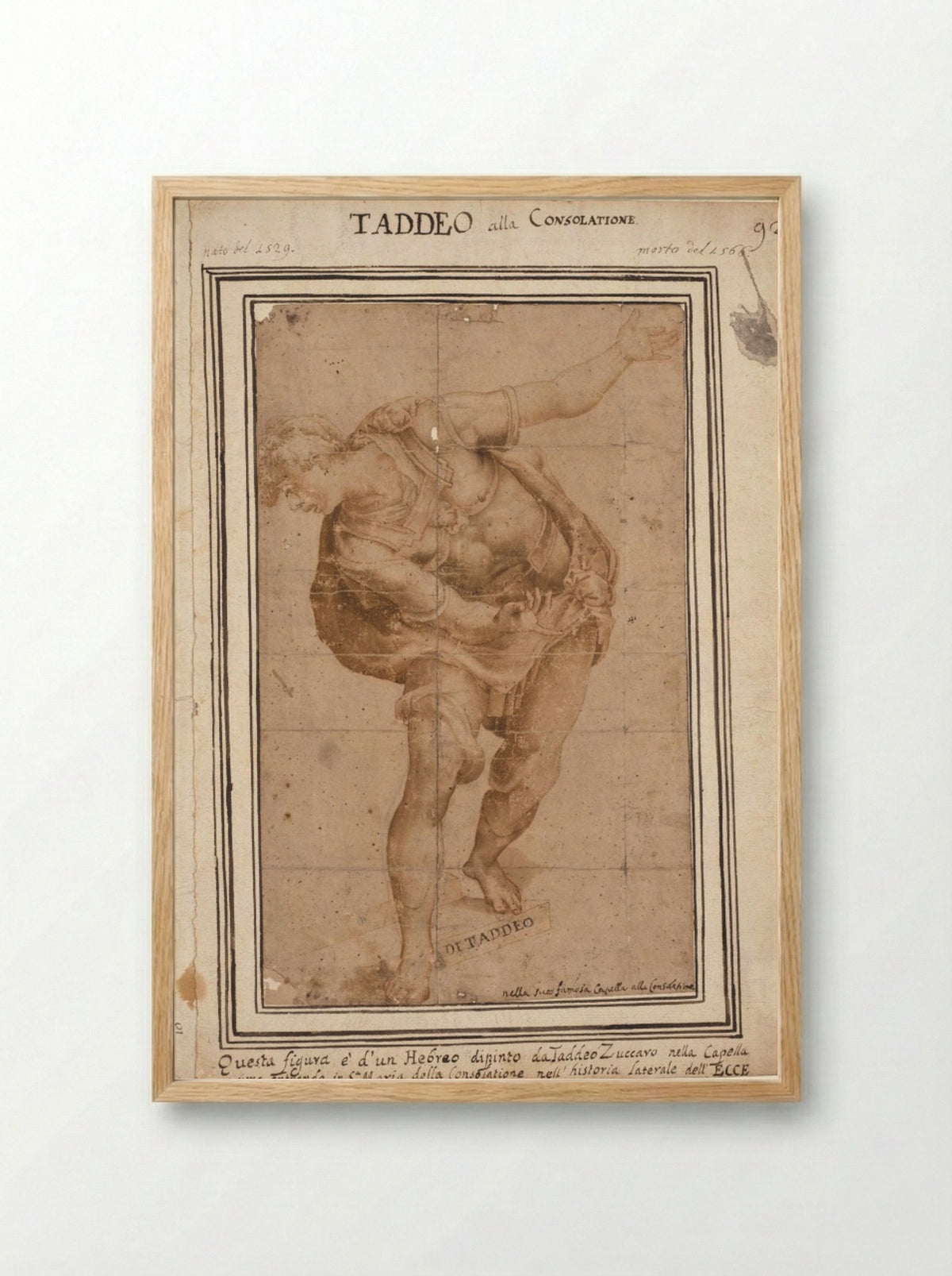 Un Hebreo, from Christ Shown to the People (recto) - Taddeo Zuccaro - Framed Print Wood