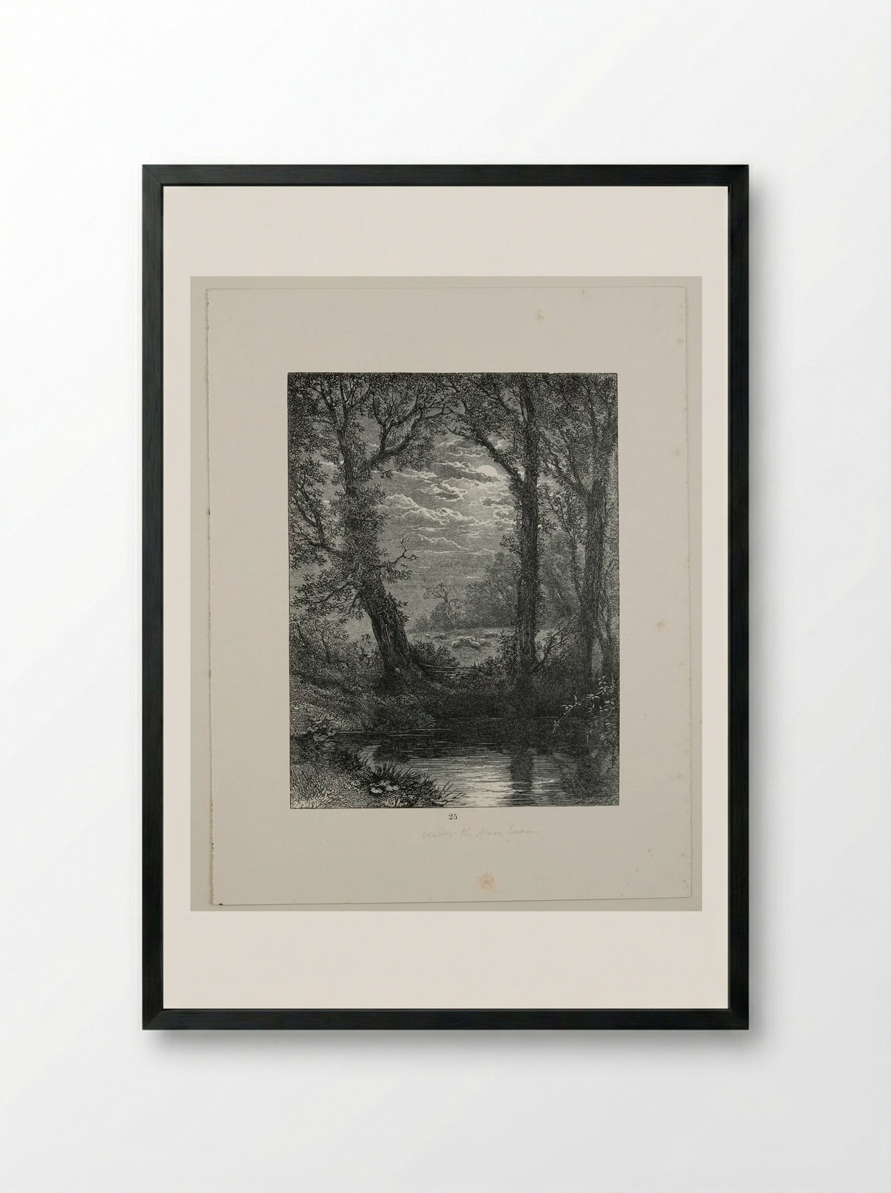 Under the Moonbeams - Edward Dalziel - Framed Print Black