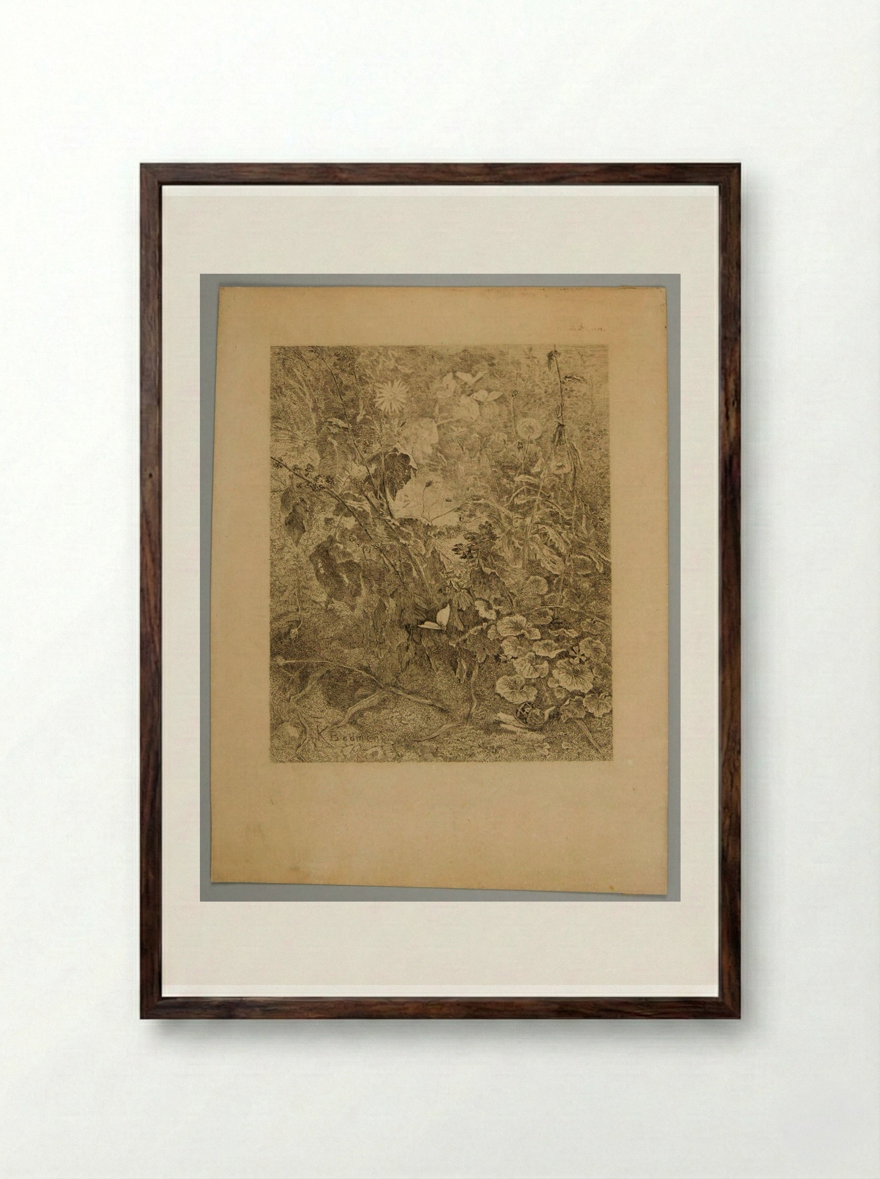Undergrowth with a Butterfly and a Snail - Karl Bodmer - Framed Print Dark Wood