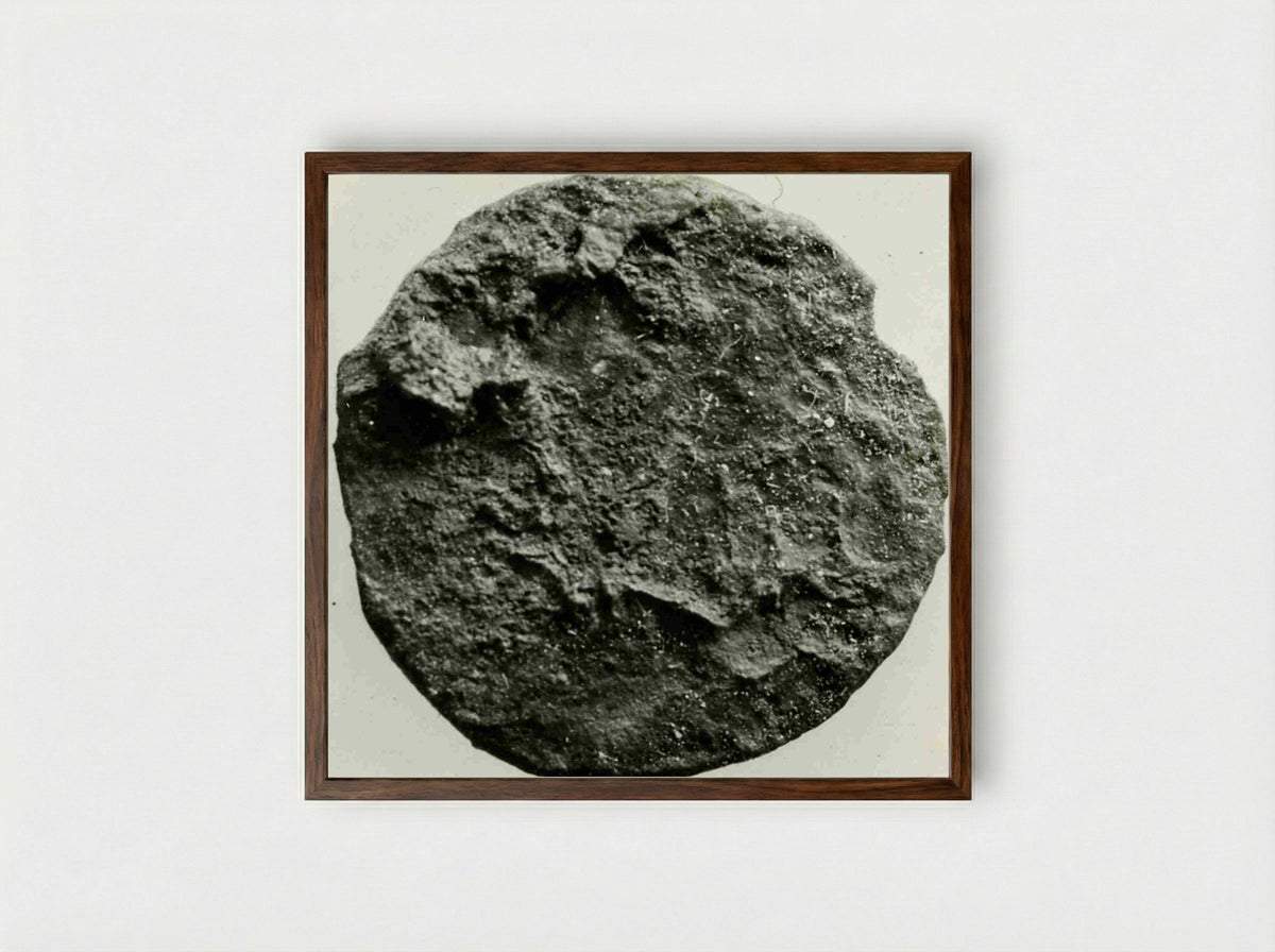 Untitled (Ancient Coin, Archaeological Study) - Fine Art Print - Framed Print Dark Wood