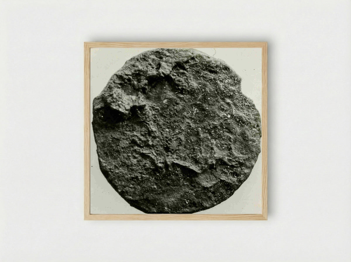 Untitled (Ancient Coin, Archaeological Study) - Fine Art Print - Framed Print Wood