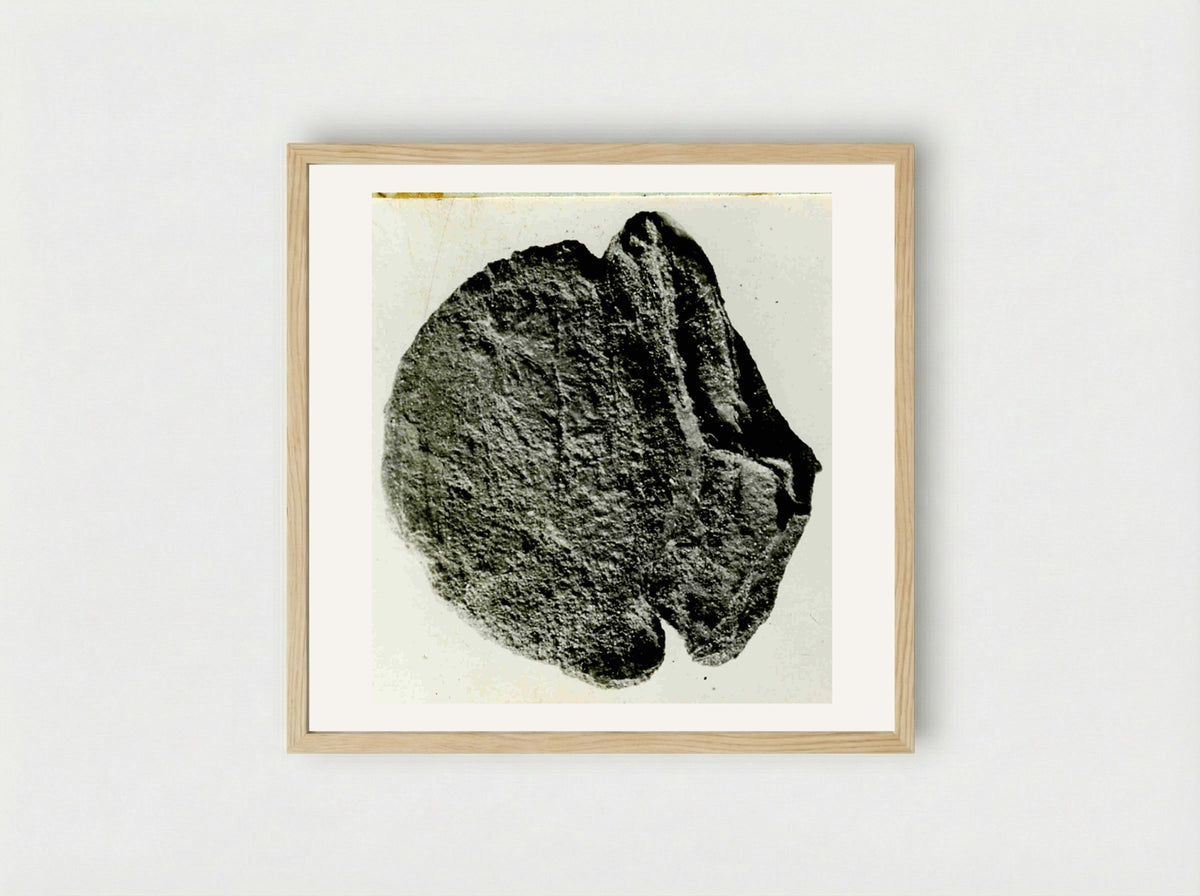 Untitled (Ancient Coin, Monochrome Photograph) - Fine Art Print - Framed Print Wood