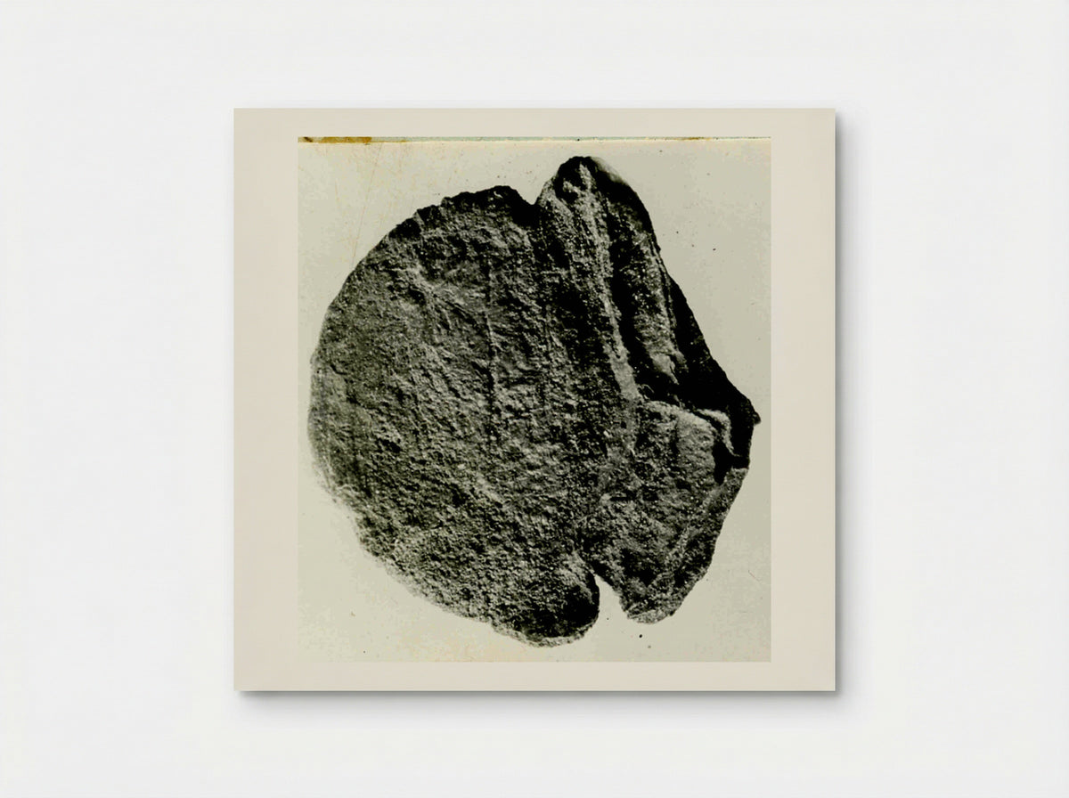 Untitled (Ancient Coin, Monochrome Photograph) - Fine Art Print - Poster