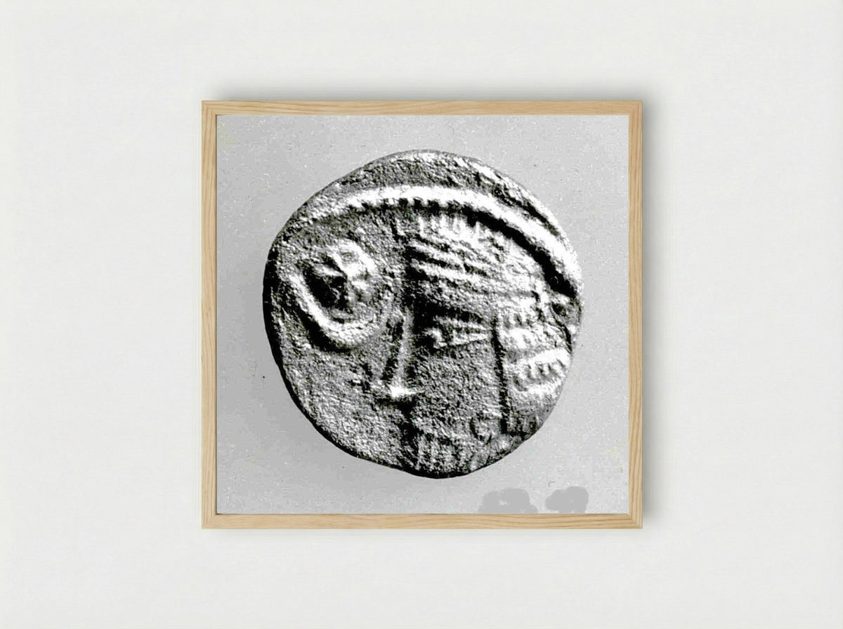 Untitled (Ancient Coin) - Fine Art Print - Framed Print Wood