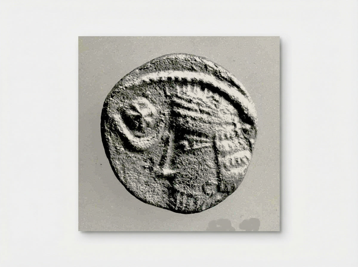 Untitled (Ancient Coin) - Fine Art Print - Poster