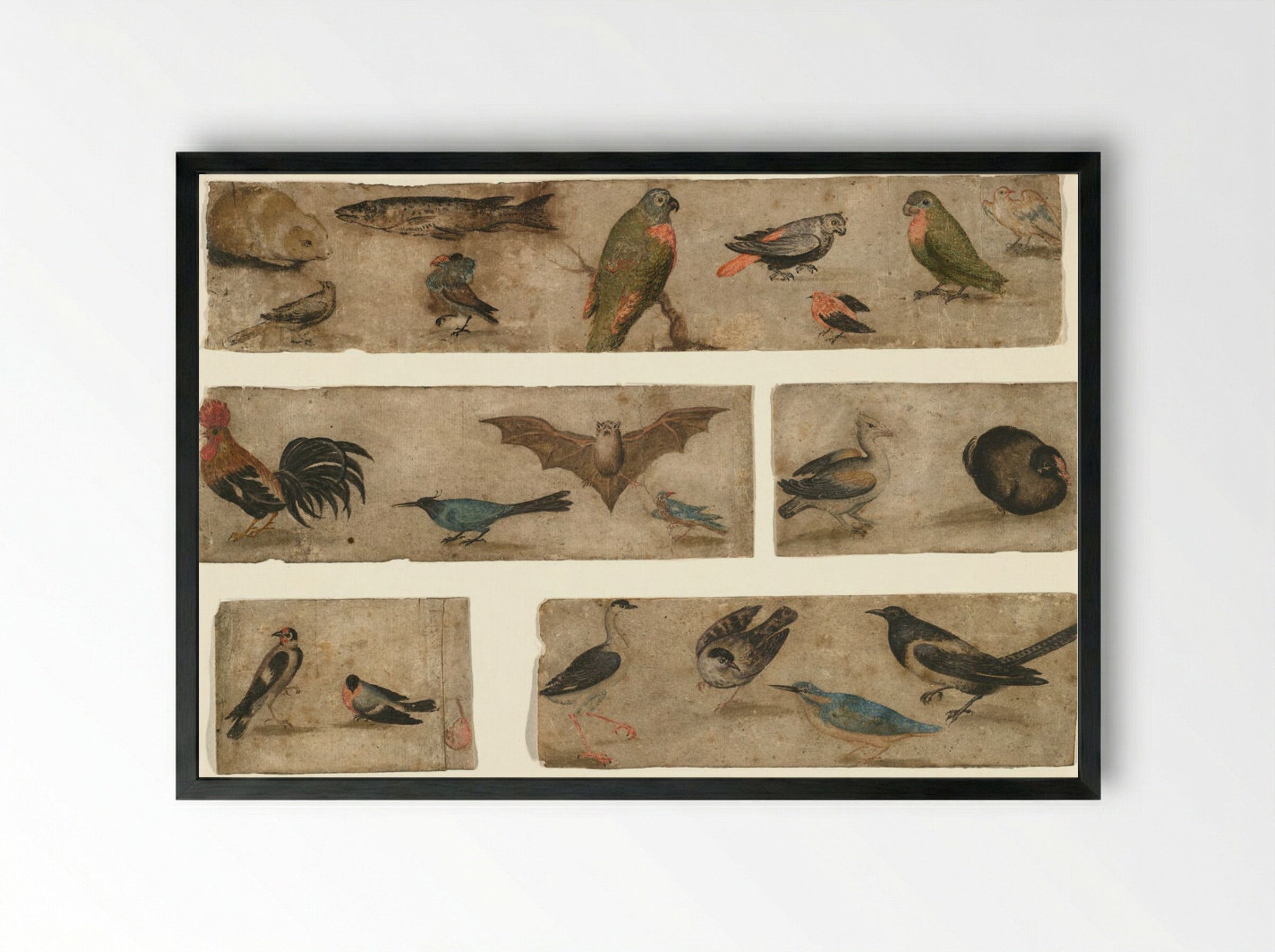 Untitled (Animal and Bird Studies) - Fine Art Print - Framed Print Black