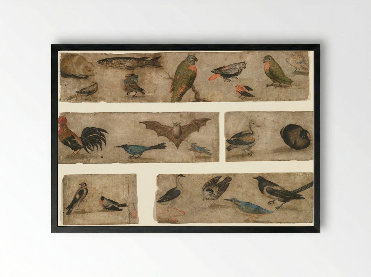Untitled (Animal and Bird Studies) - Fine Art Print - Framed Print Black