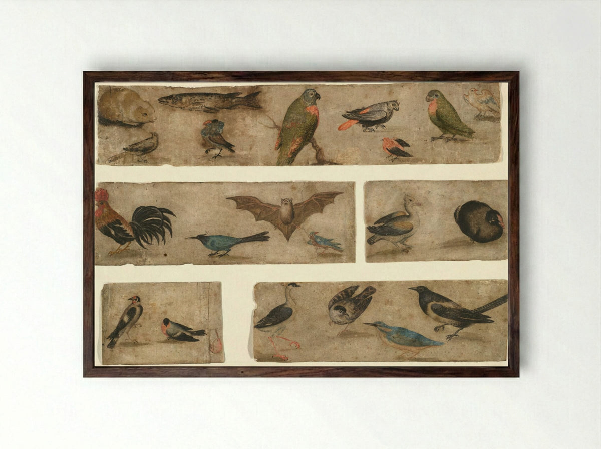 Untitled (Animal and Bird Studies) - Fine Art Print - Framed Print Dark Wood