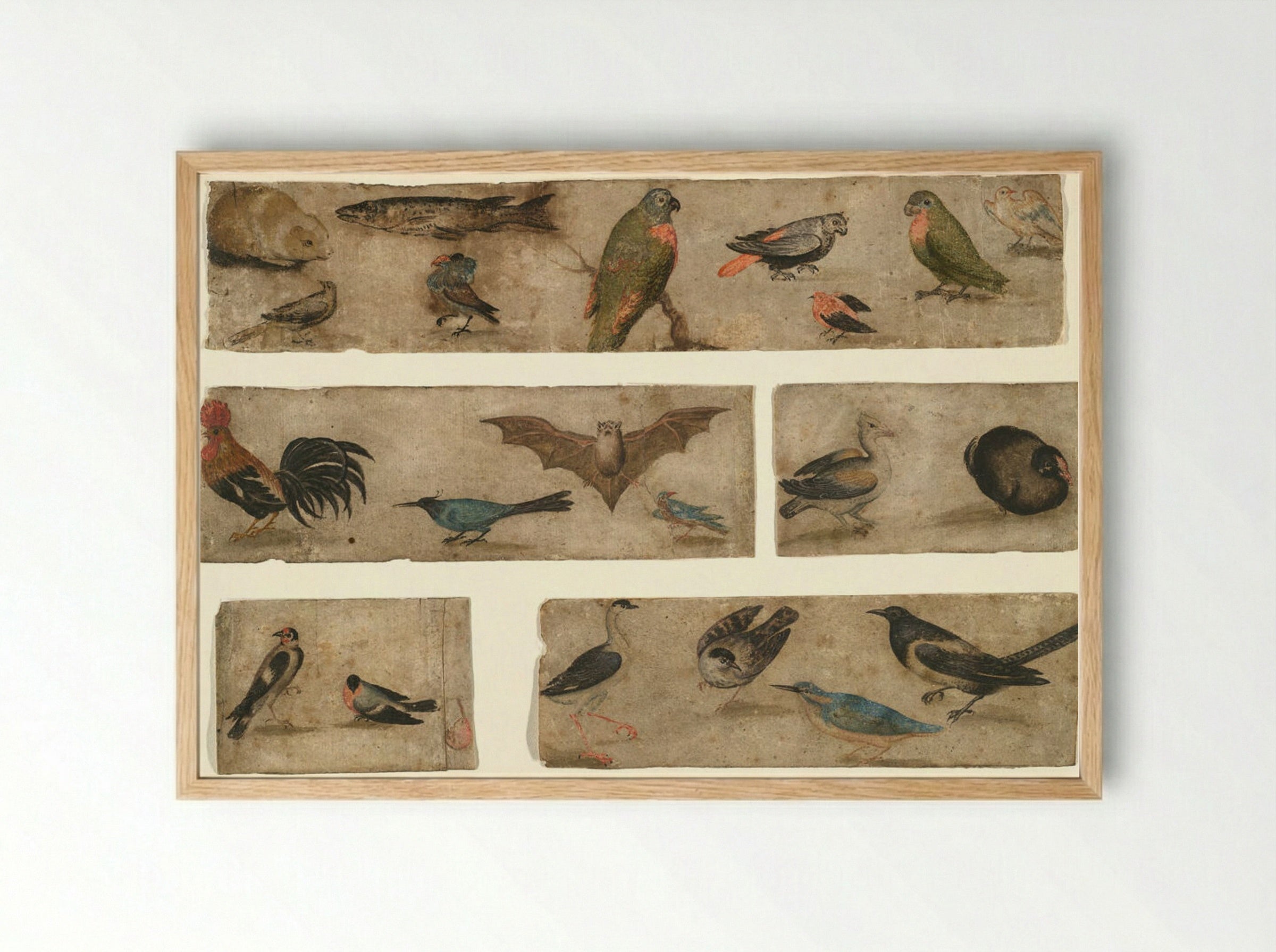 Untitled (Animal and Bird Studies) - Fine Art Print - Framed Print Wood