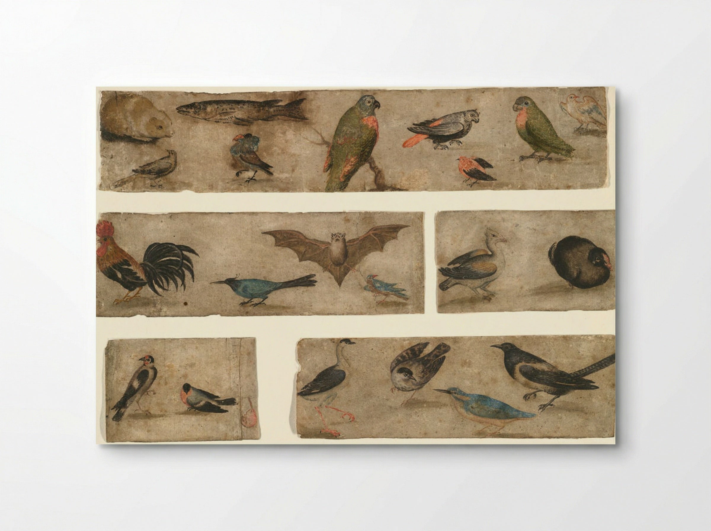 Untitled (Animal and Bird Studies) - Fine Art Print - Poster