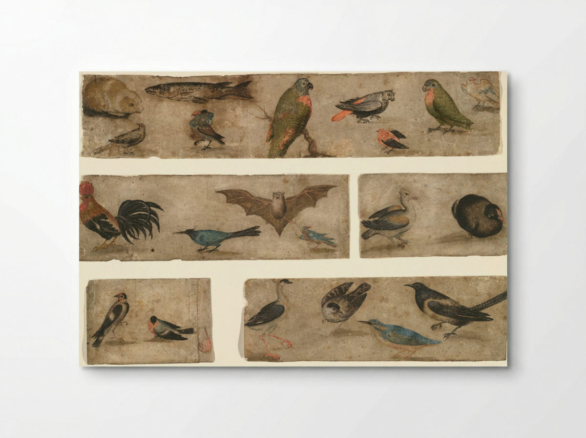 Untitled (Animal and Bird Studies) - Fine Art Print - Poster