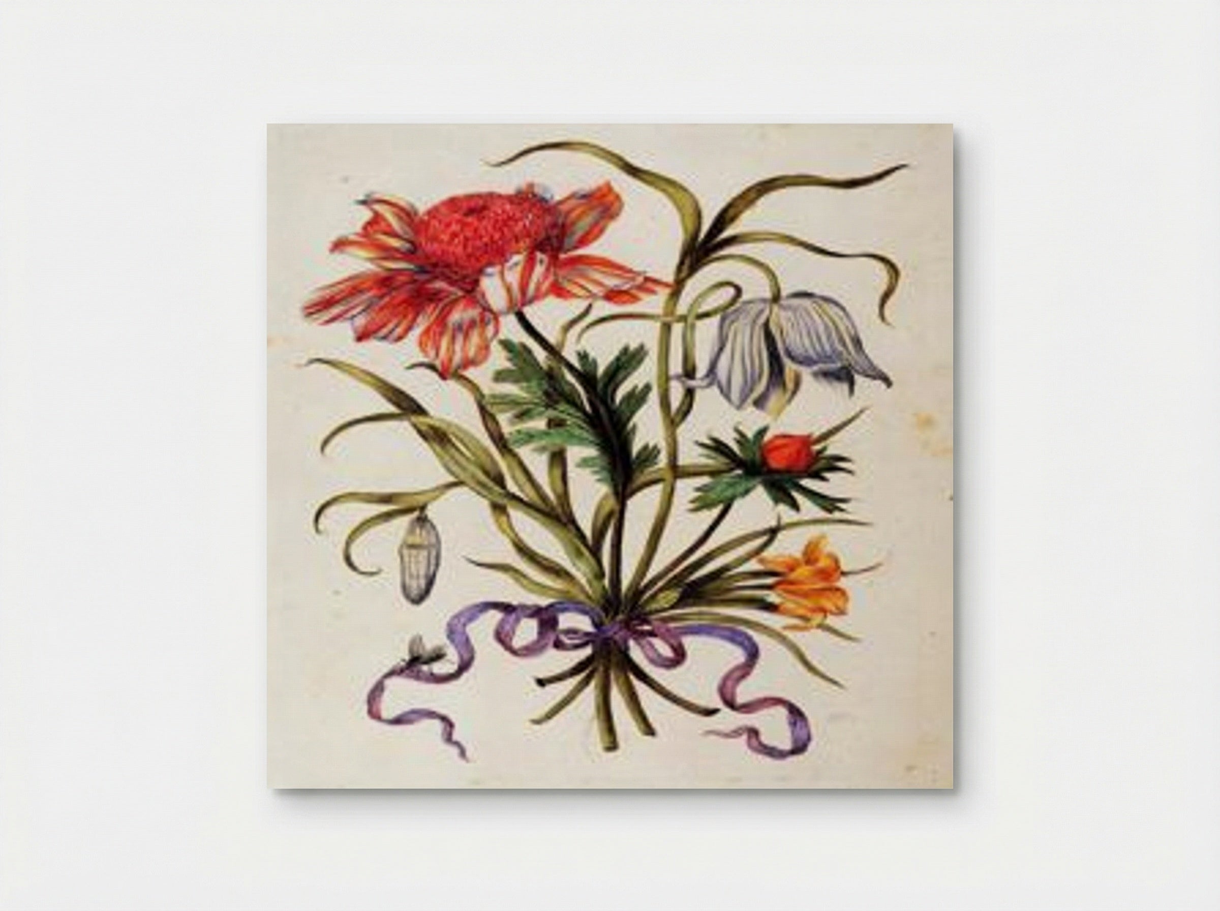 Untitled (Floral Still Life with Ribbon) - Maria Sibylla Merian - Poster