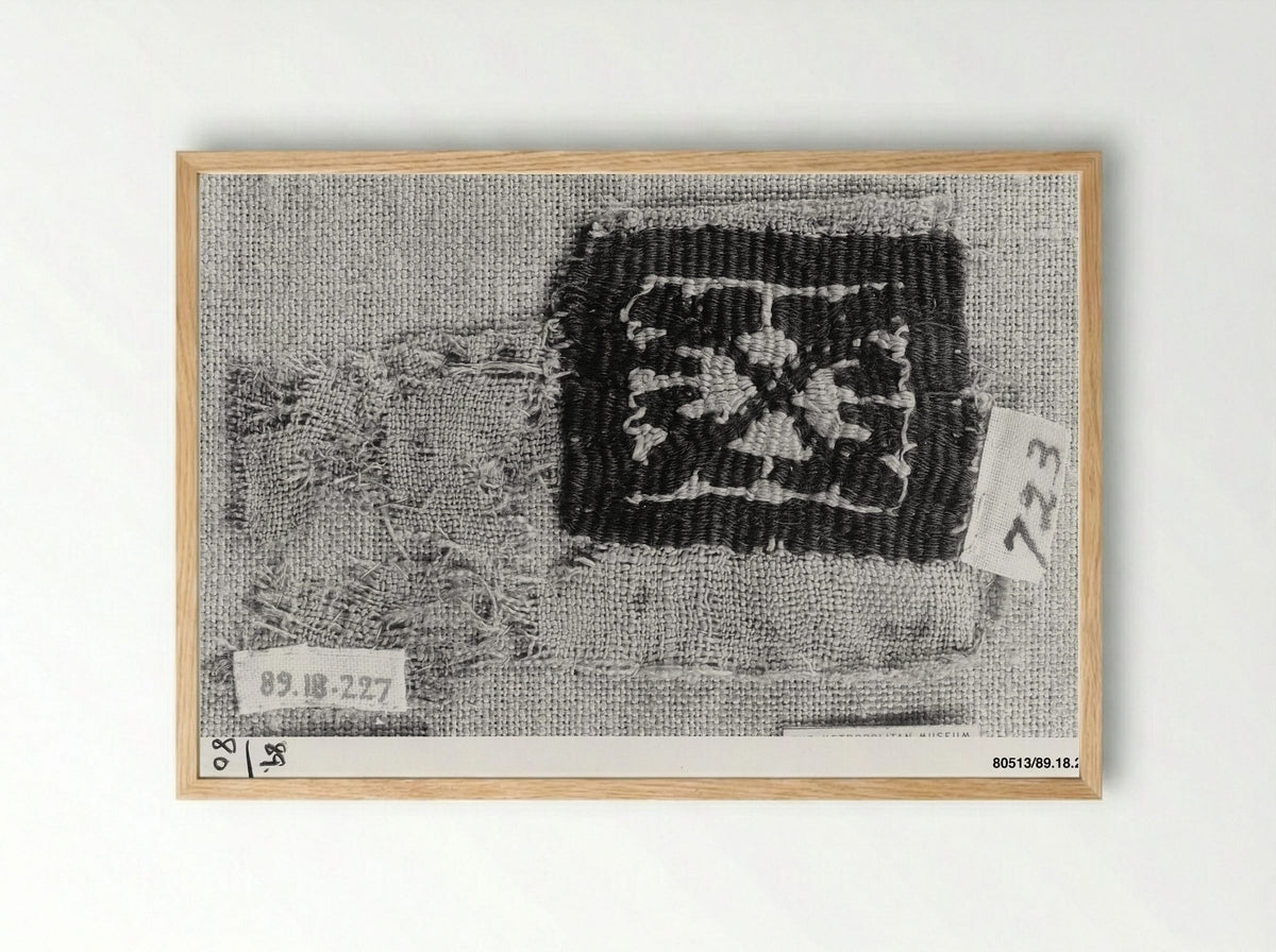 Untitled (Textile Fragment, Woven Silk) - Fine Art Print - Framed Print Wood