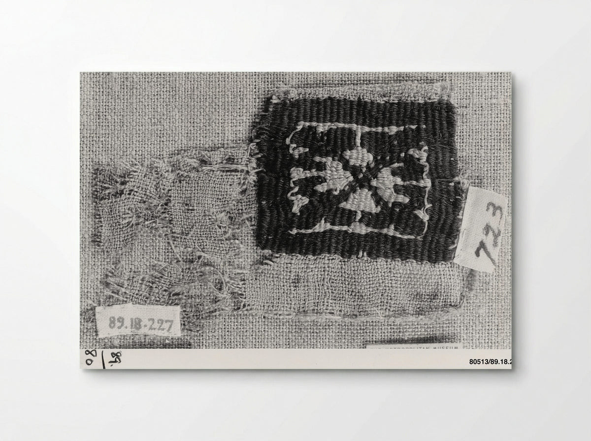 Untitled (Textile Fragment, Woven Silk) - Fine Art Print - Poster