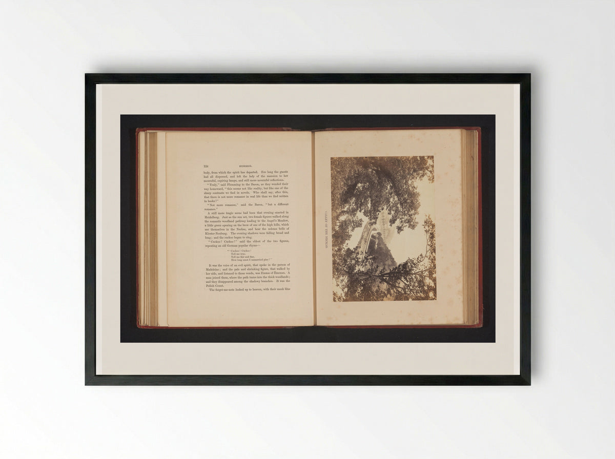 Valley of the Neckar - Francis Frith - Framed Print Black