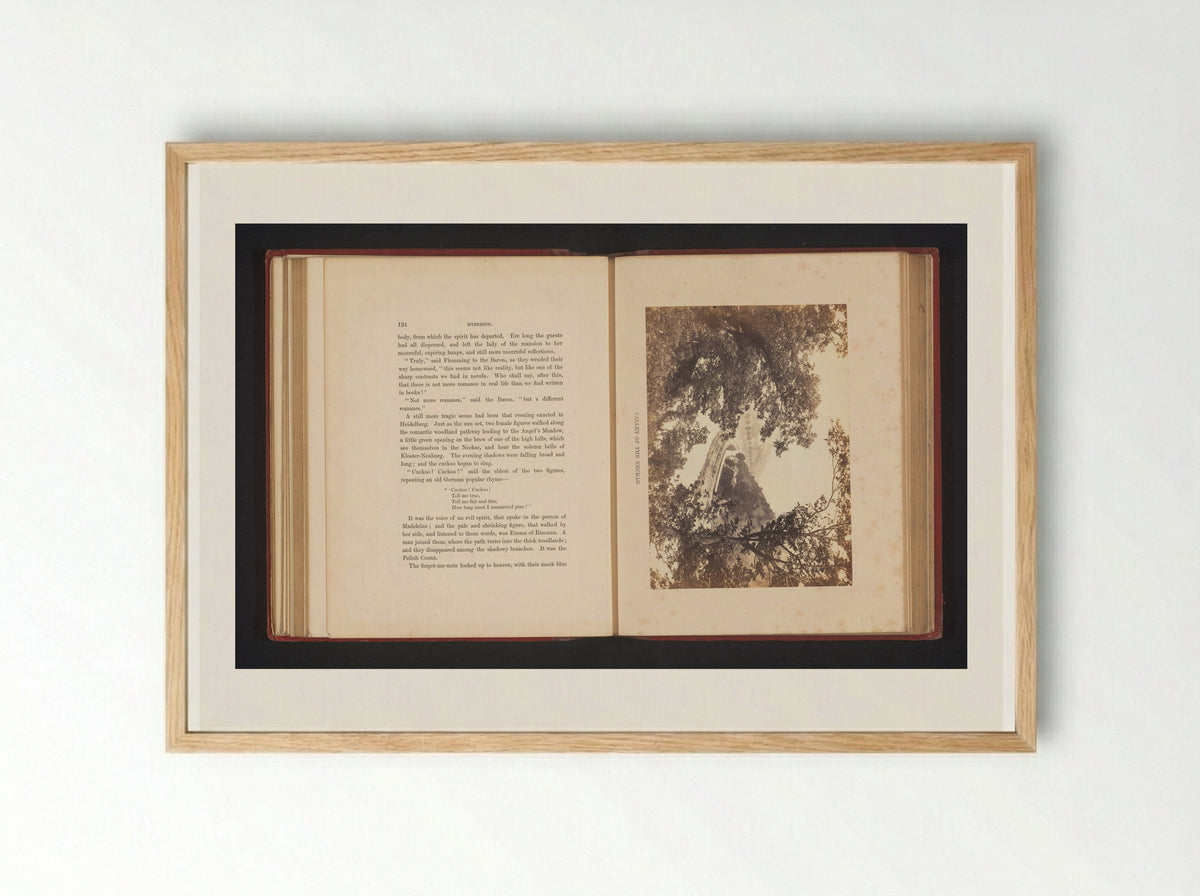 Valley of the Neckar - Francis Frith - Framed Print Wood